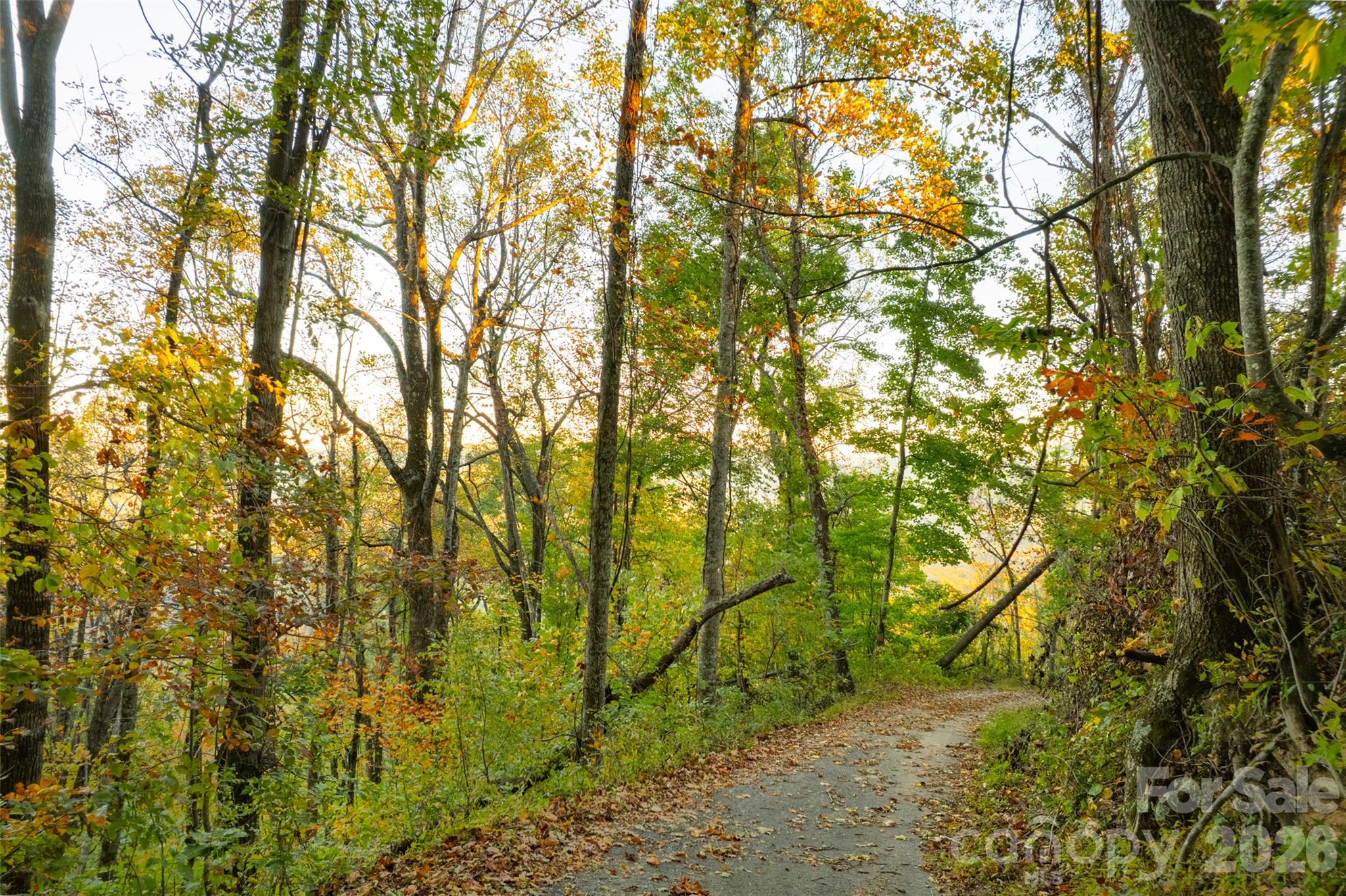Acreage at 337 Pinnacle Drive, Black Mountain, photo 9 of 15