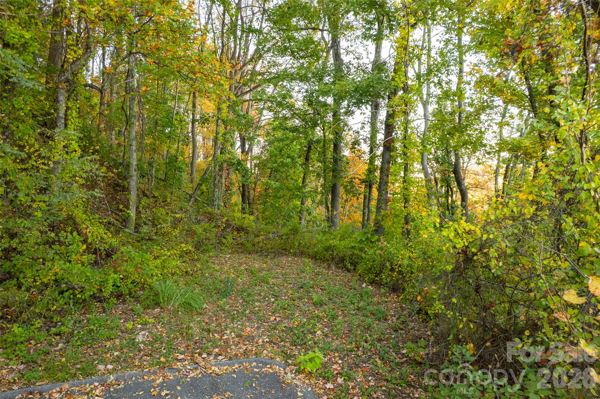 Acreage at 337 Pinnacle Drive, Black Mountain, photo 10 of 15