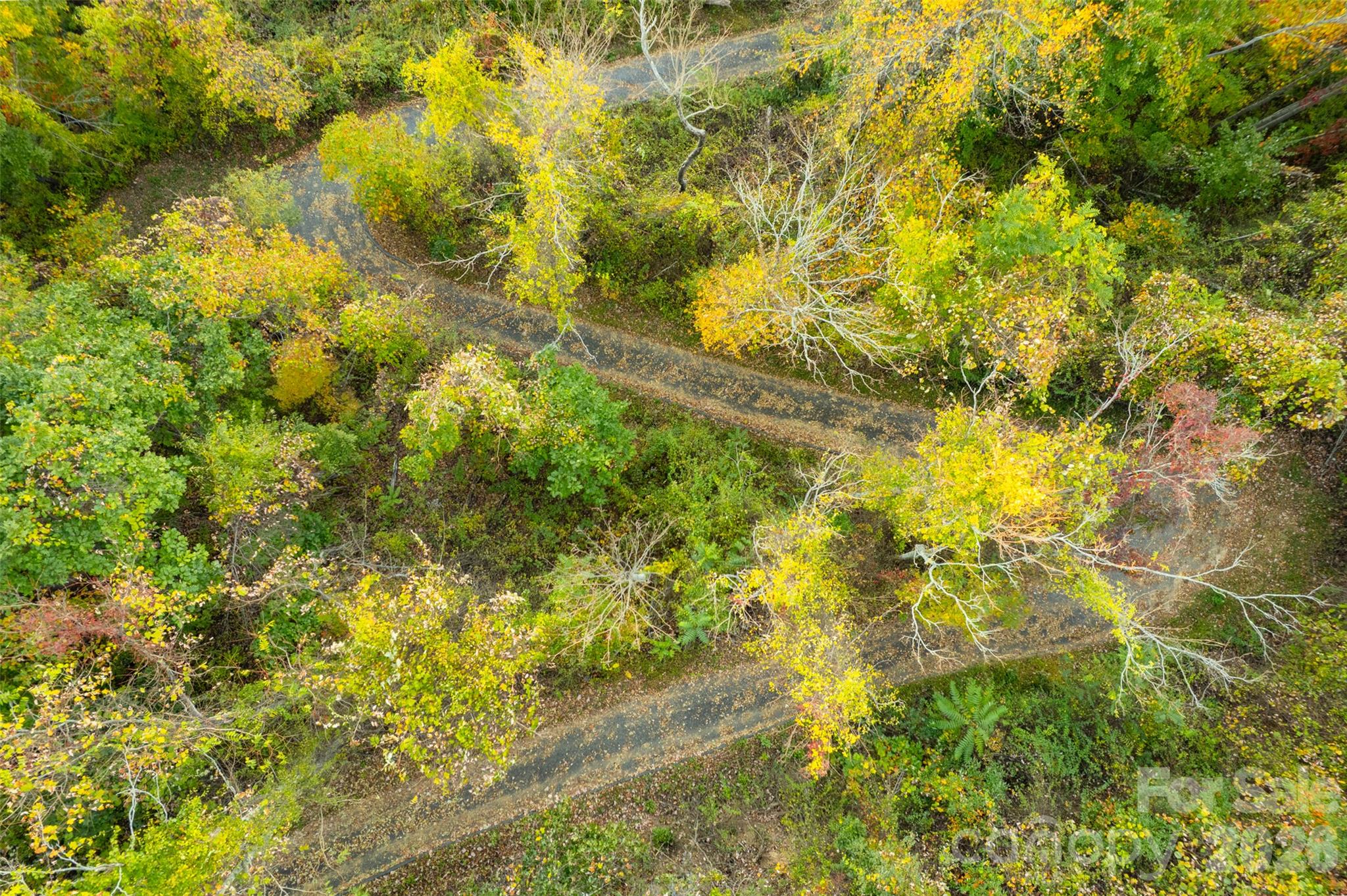 Acreage at 337 Pinnacle Drive, Black Mountain, photo 11 of 15