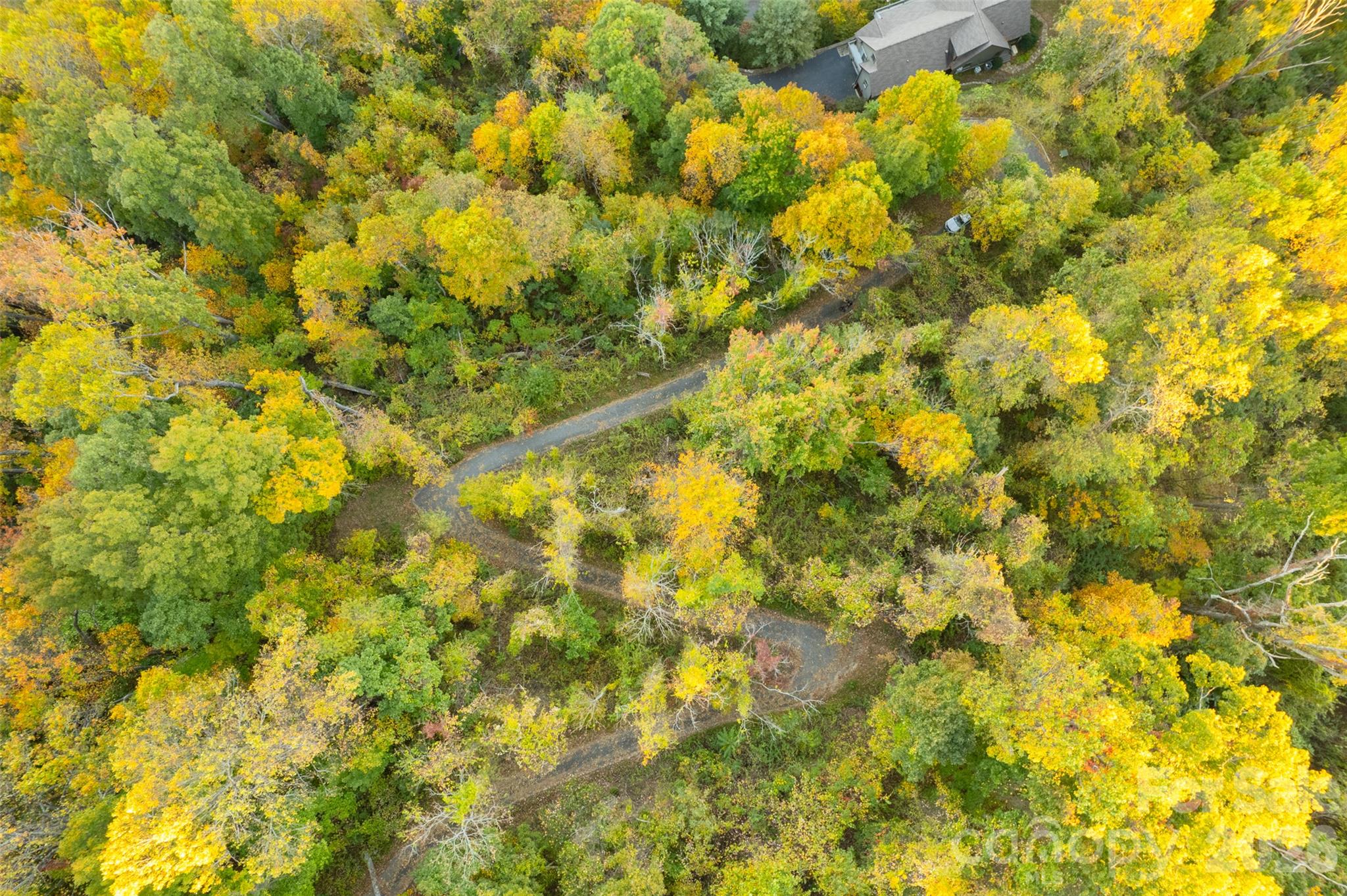 Acreage at 337 Pinnacle Drive, Black Mountain, photo 13 of 15