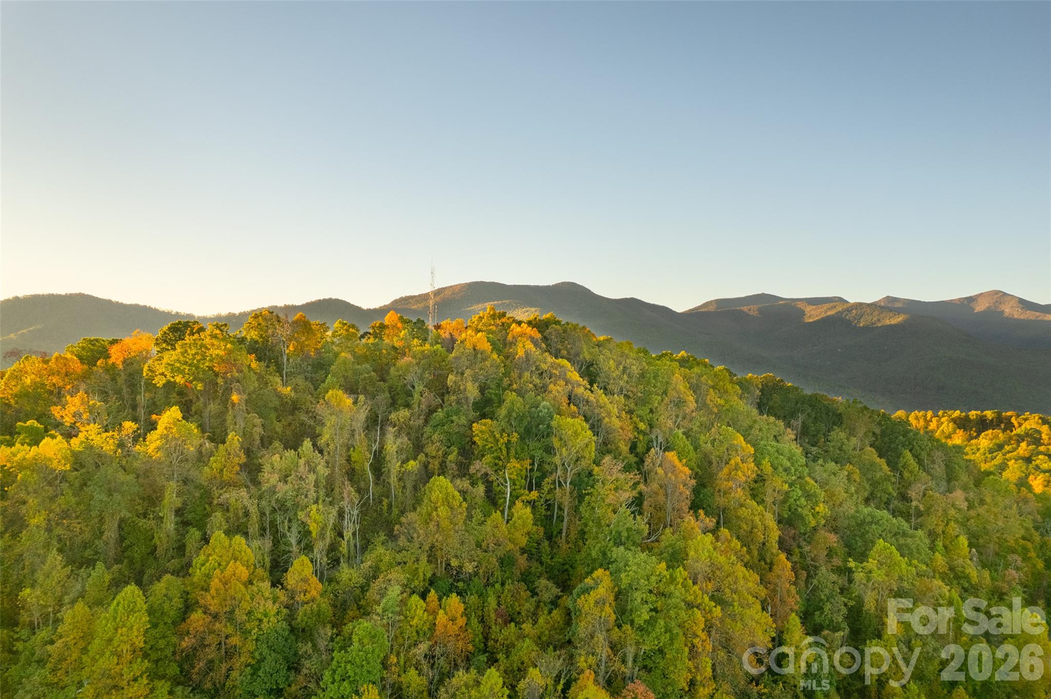 Acreage at 337 Pinnacle Drive, Black Mountain, photo 14 of 15