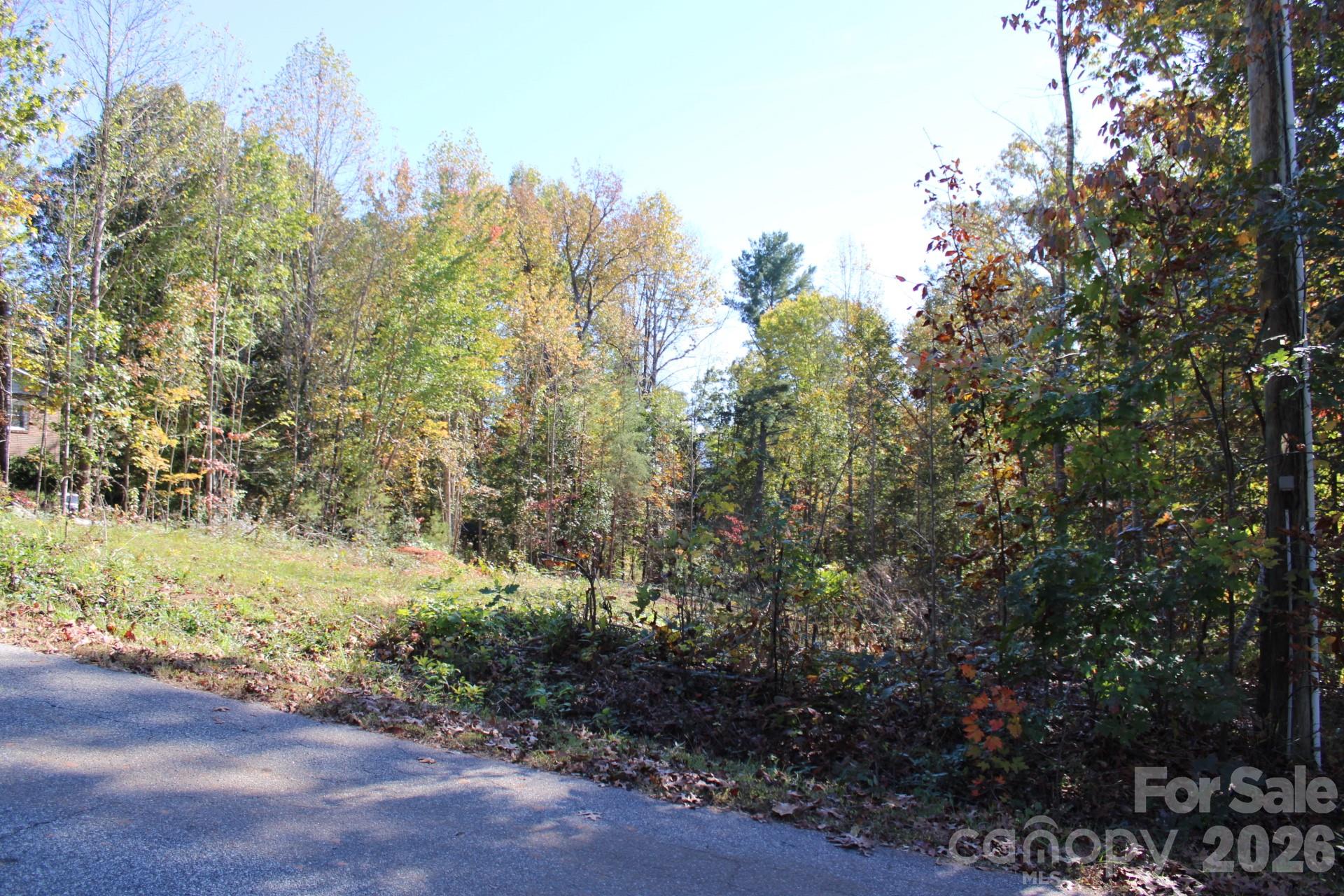 Lot at 173 Crestwood Avenue, Morganton, photo 3 of 8