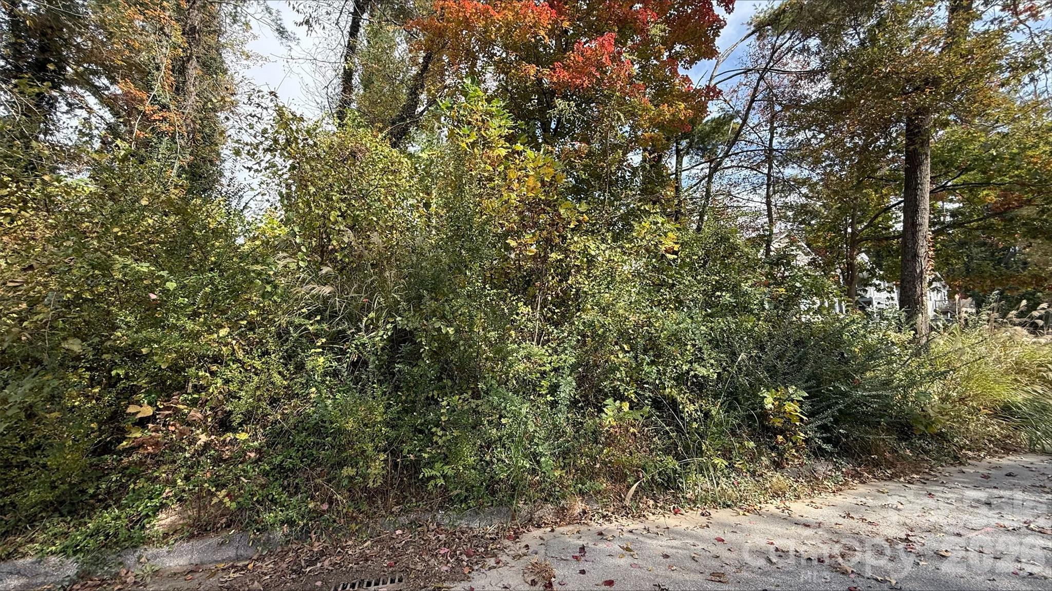 Lot at 0 Toms Park Circle, Hendersonville, photo 2 of 9