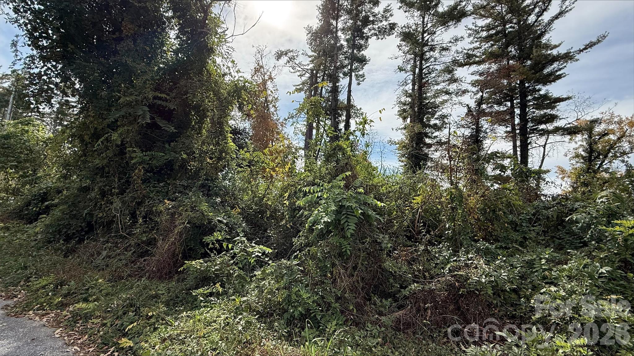 Lot at 0 Toms Park Circle, Hendersonville, photo 3 of 9
