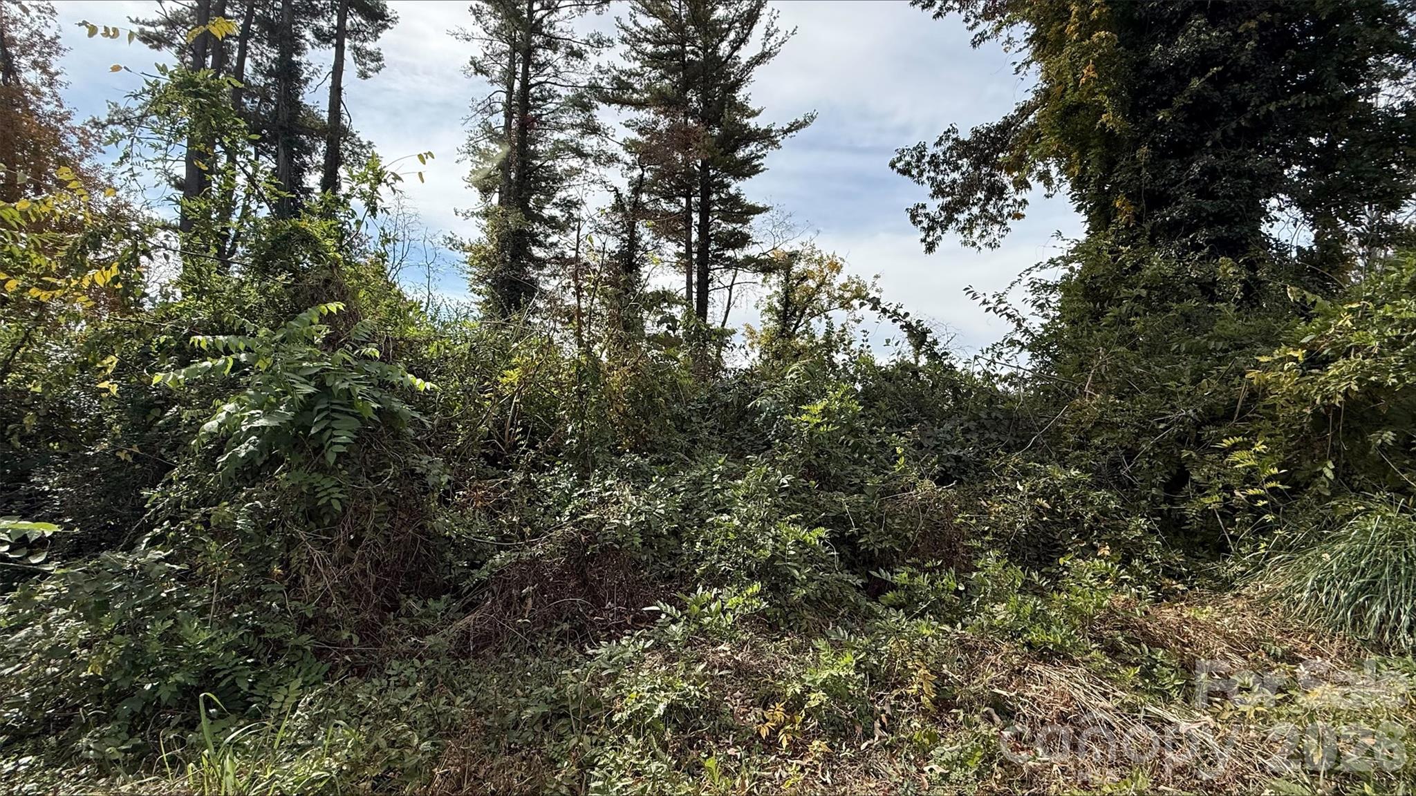 Lot at 0 Toms Park Circle, Hendersonville, photo 6 of 9