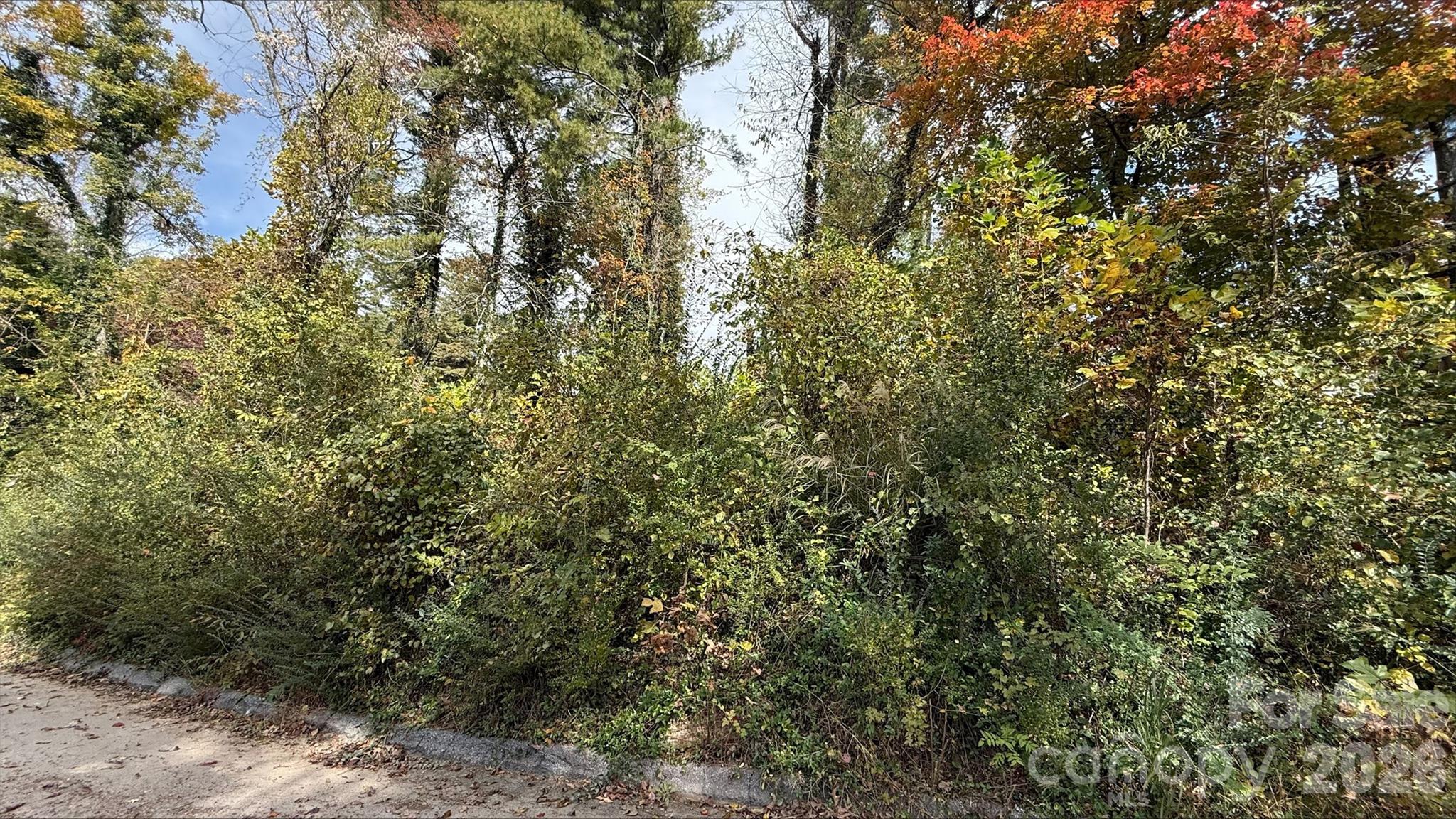Lot at 0 Toms Park Circle, Hendersonville, photo 8 of 9