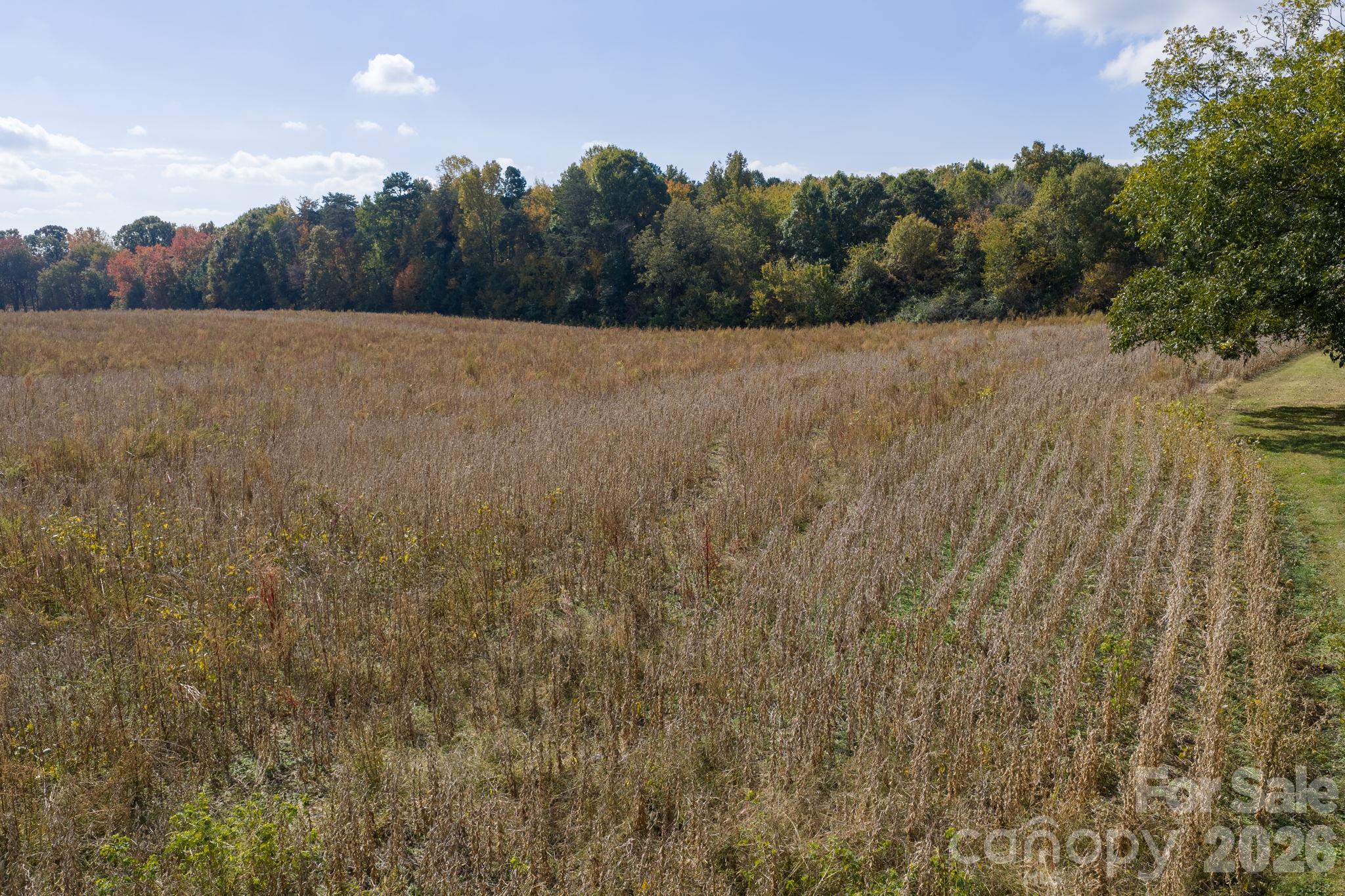 Acreage at 0 Diddley Dadburn Road, Maiden, photo 5 of 40
