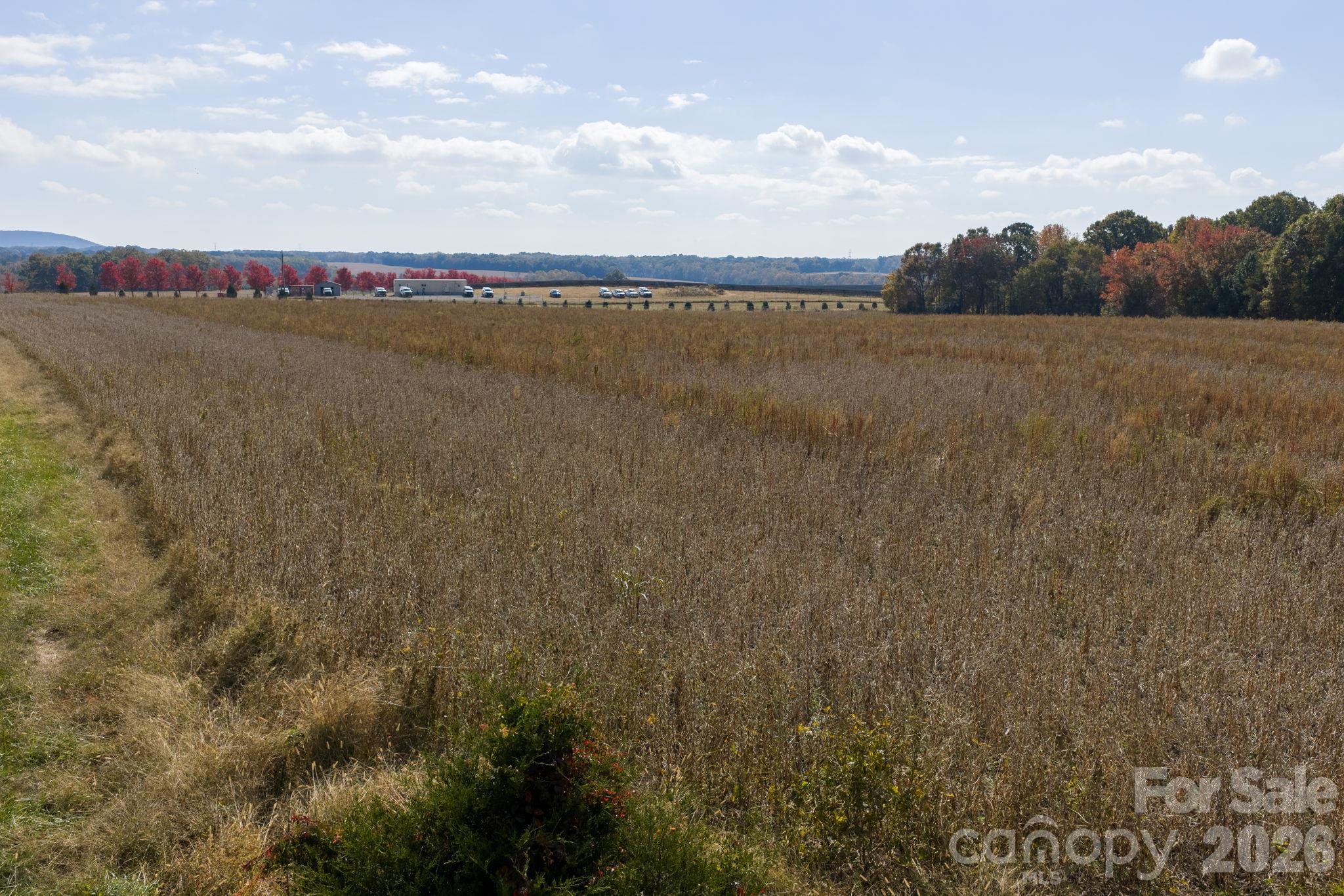Acreage at 0 Diddley Dadburn Road, Maiden, photo 6 of 40
