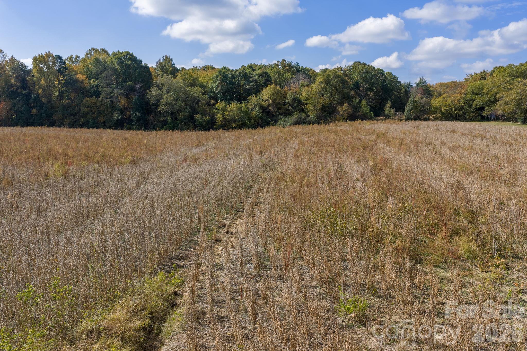 Acreage at 0 Diddley Dadburn Road, Maiden, photo 7 of 40