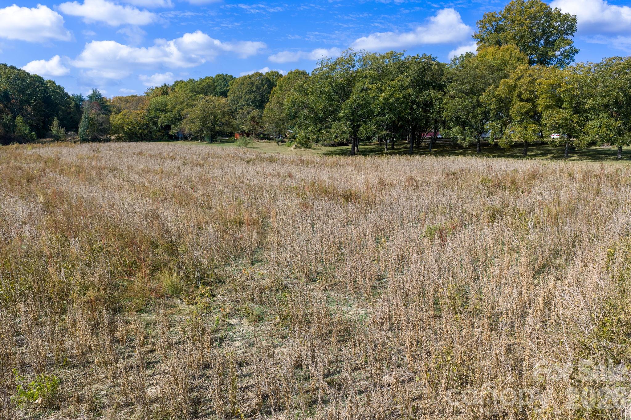 Acreage at 0 Diddley Dadburn Road, Maiden, photo 8 of 40