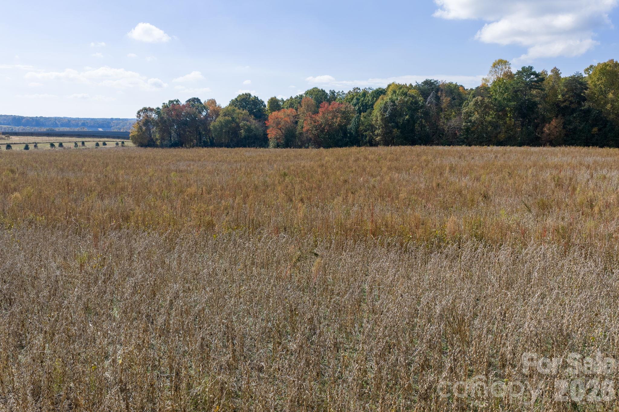 Acreage at 0 Diddley Dadburn Road, Maiden, photo 9 of 40