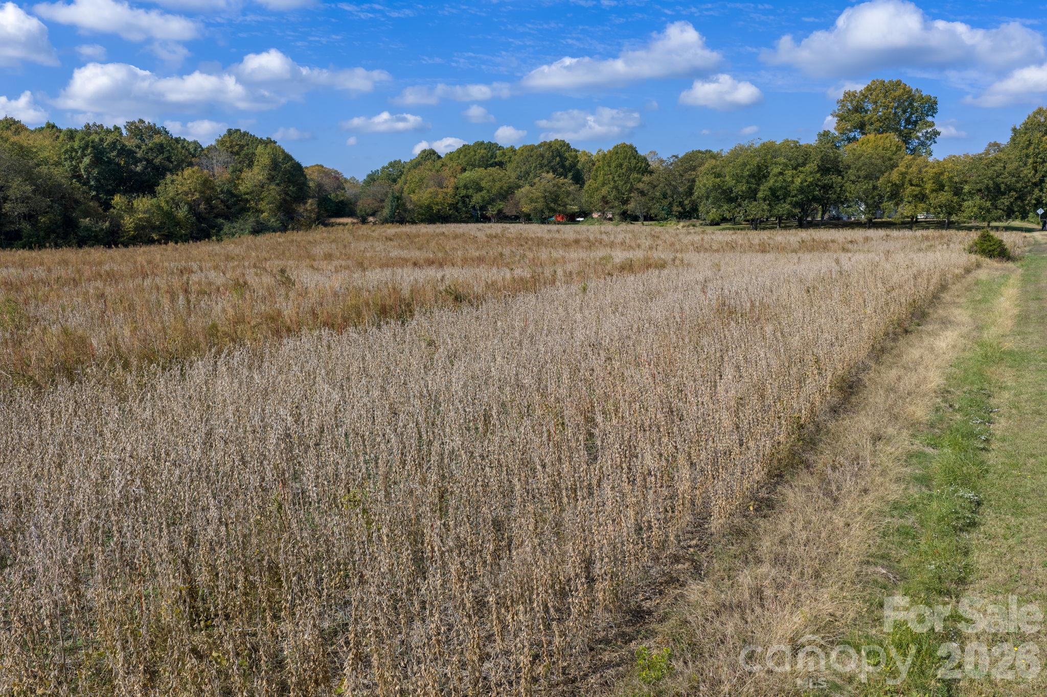 Acreage at 0 Diddley Dadburn Road, Maiden, photo 10 of 40