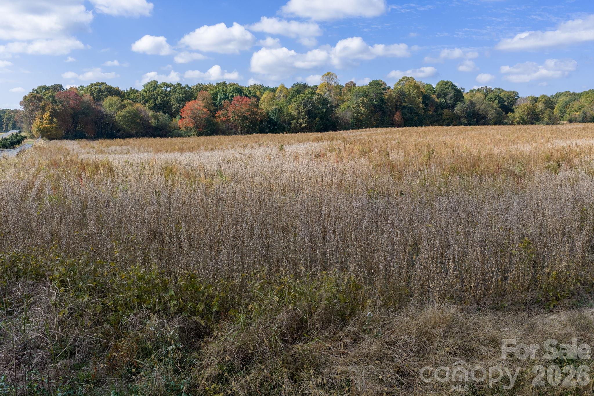 Acreage at 0 Diddley Dadburn Road, Maiden, photo 11 of 40