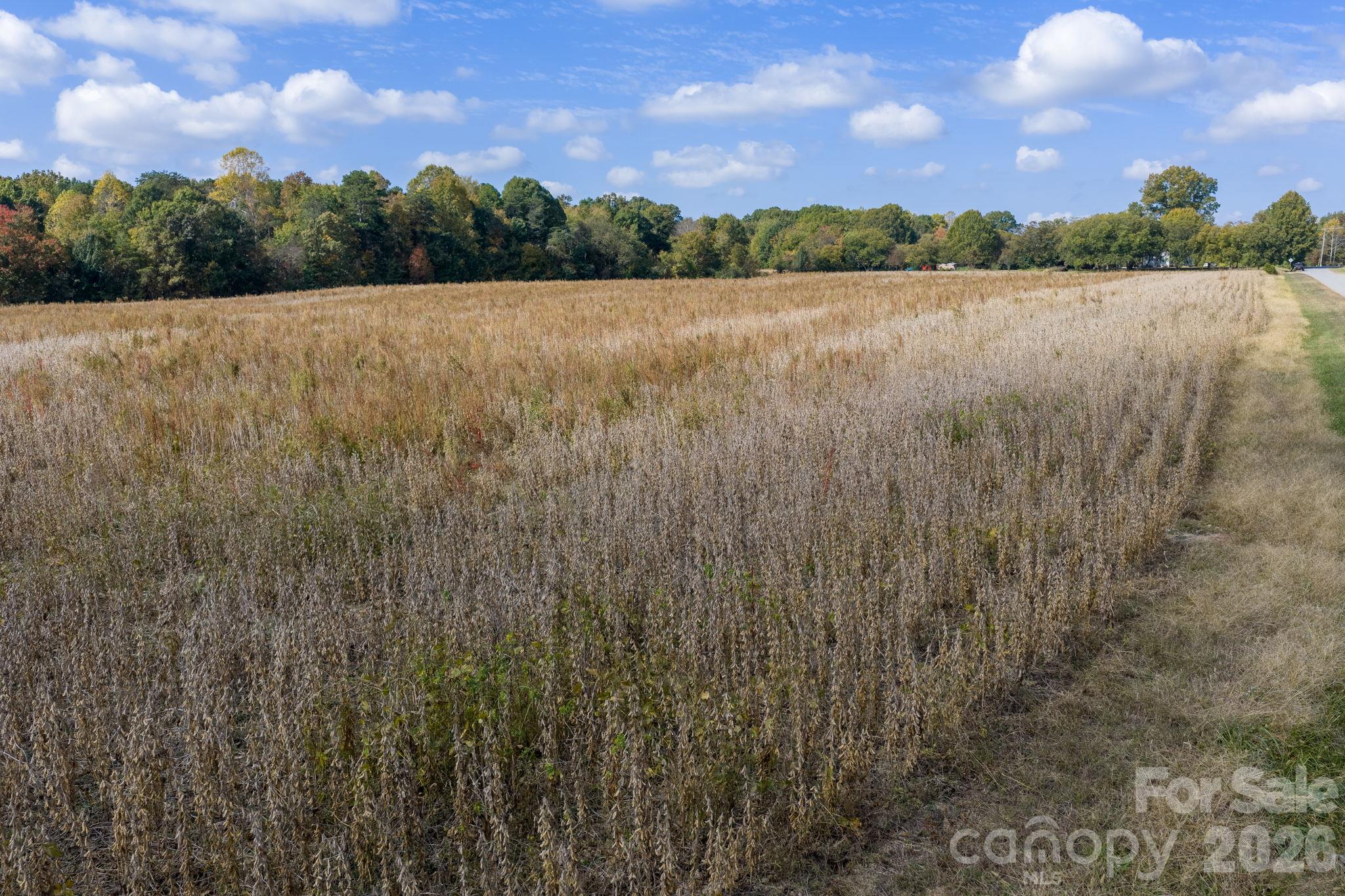 Acreage at 0 Diddley Dadburn Road, Maiden, photo 12 of 40