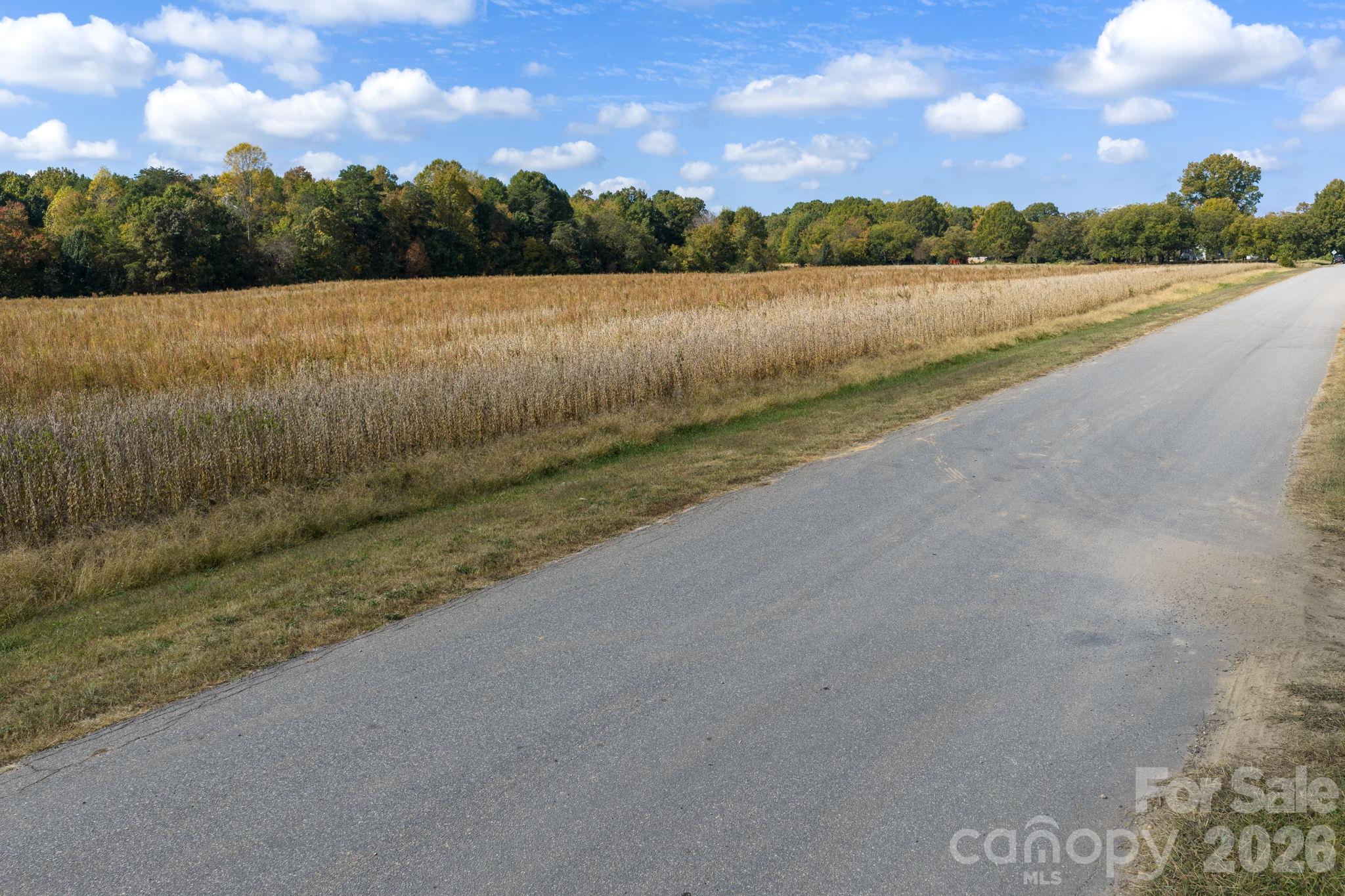 Acreage at 0 Diddley Dadburn Road, Maiden, photo 13 of 40