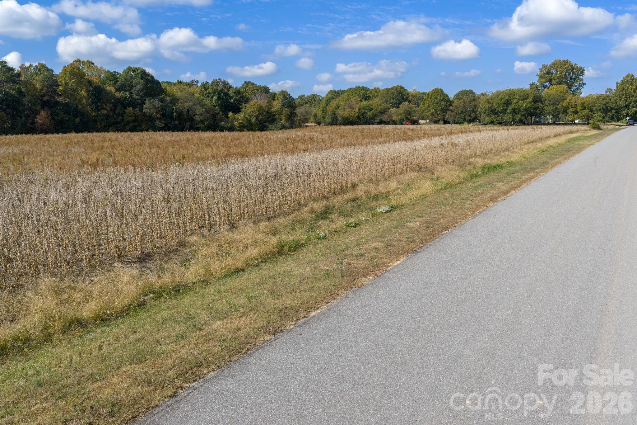Acreage at 0 Diddley Dadburn Road, Maiden, photo 14 of 40