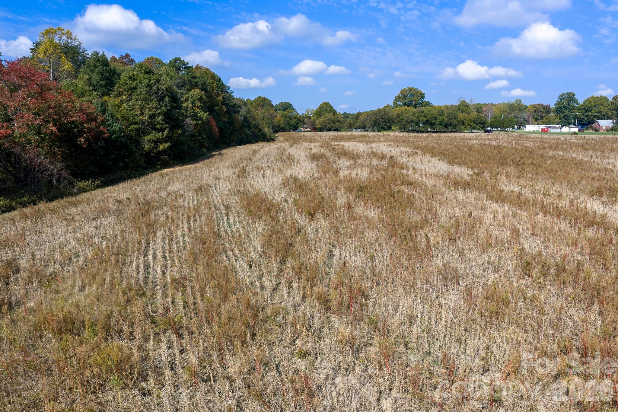 Acreage at 0 Diddley Dadburn Road, Maiden, photo 17 of 40