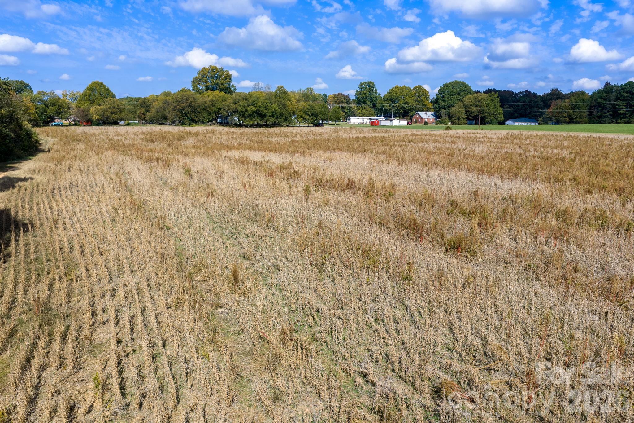 Acreage at 0 Diddley Dadburn Road, Maiden, photo 20 of 40
