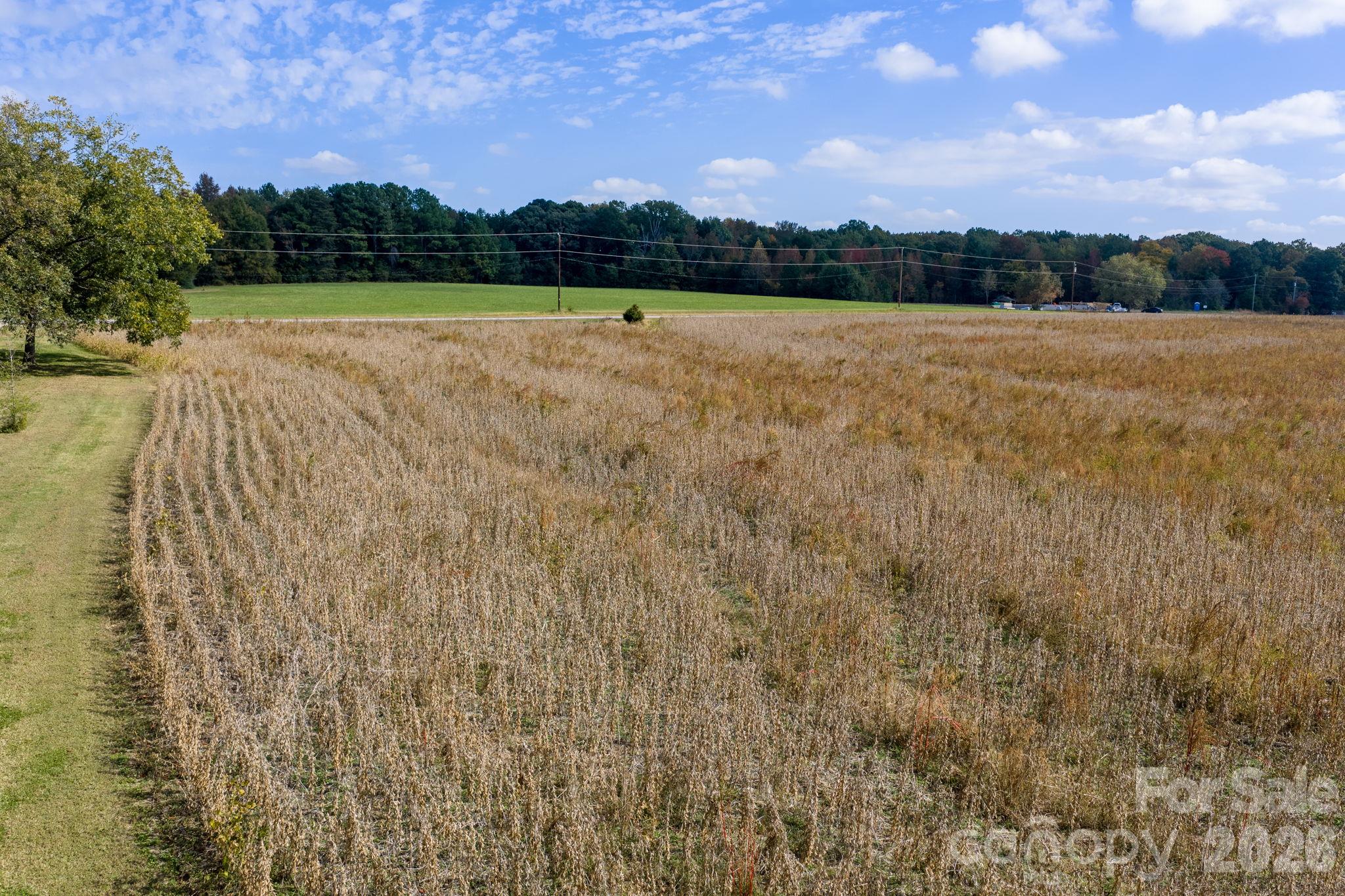 Acreage at 0 Diddley Dadburn Road, Maiden, photo 22 of 40