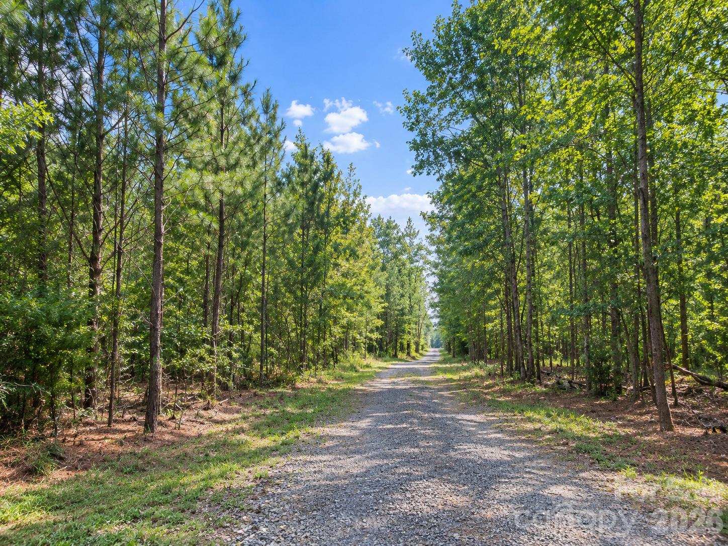 Magnificent Trail is the entrance to Miracle Acres - 0 Magnificent Trail, Hillsborough