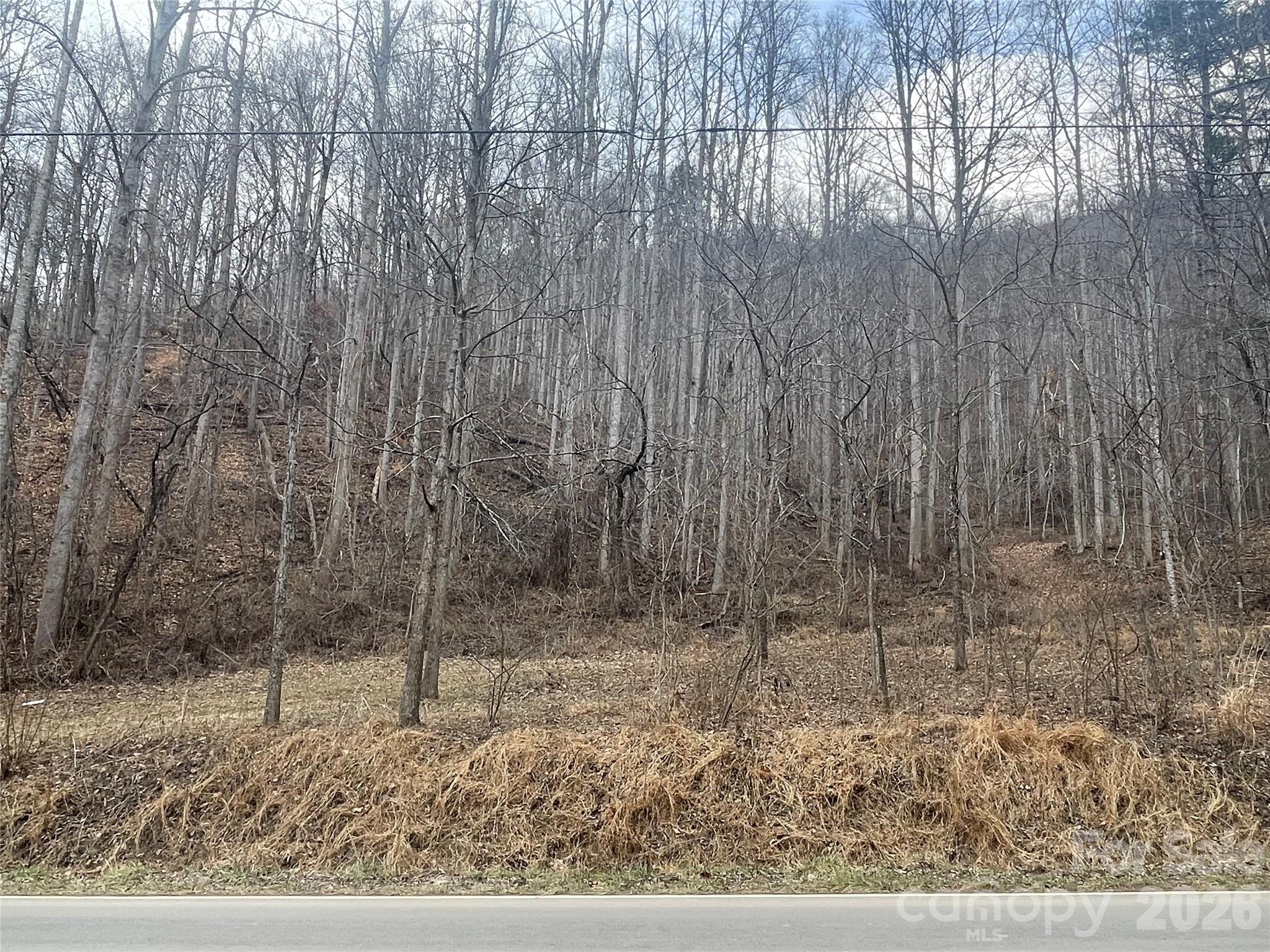 Road Frontage - 999999 Martins Creek Road, Barnardsville
