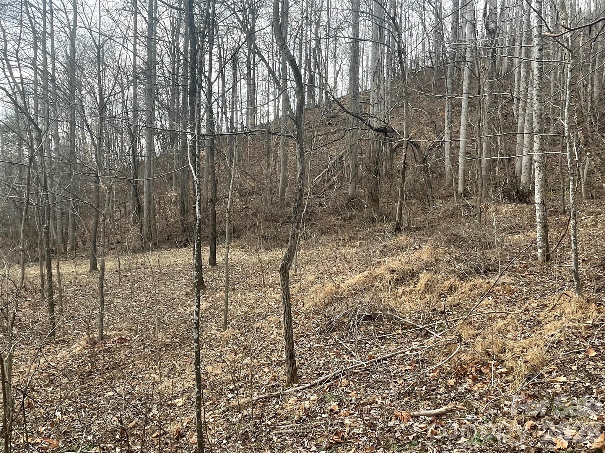 Cleared Section - 999999 Martins Creek Road, Barnardsville