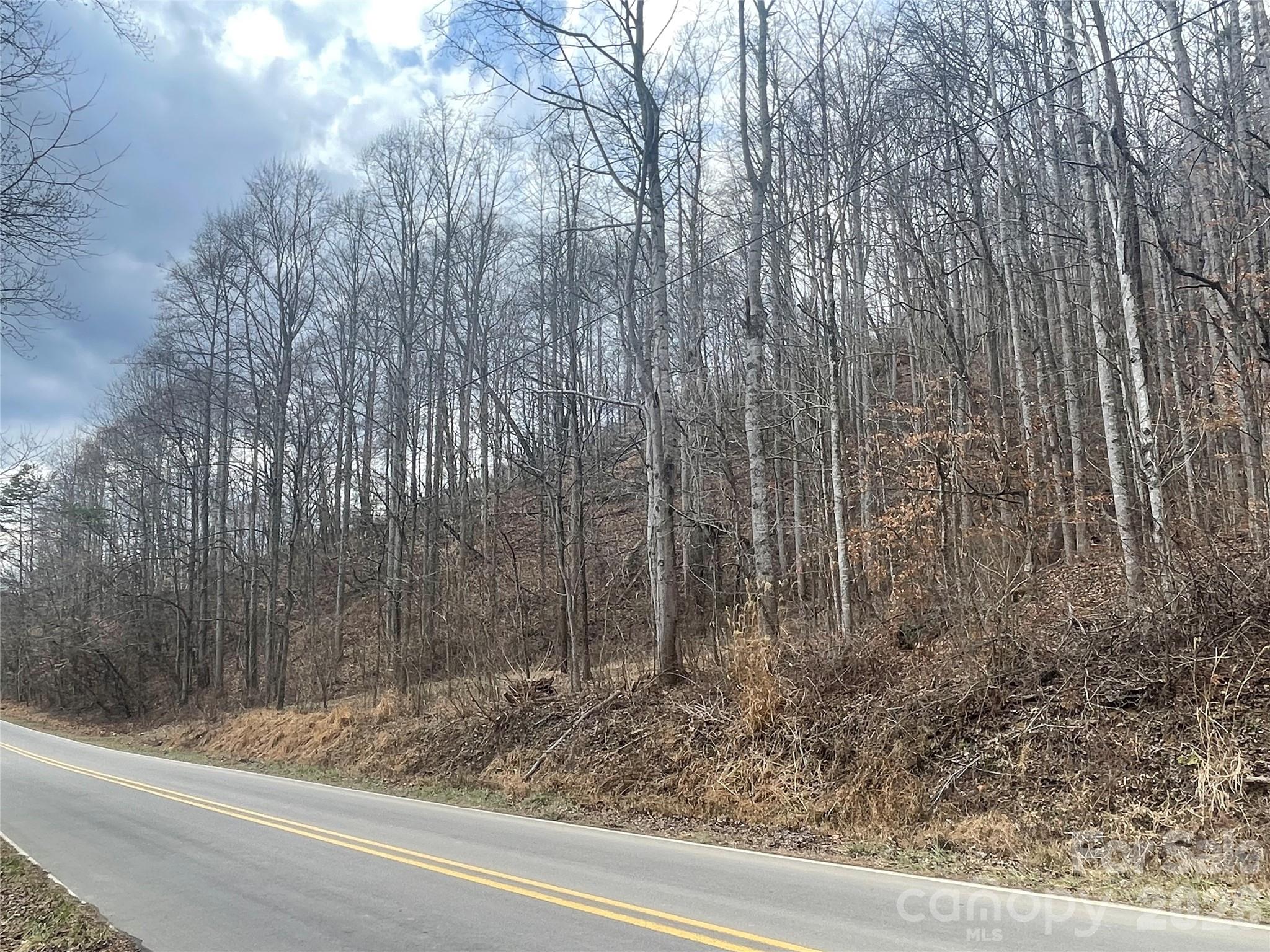 More road frontage of Martins Creek - 999999 Martins Creek Road, Barnardsville