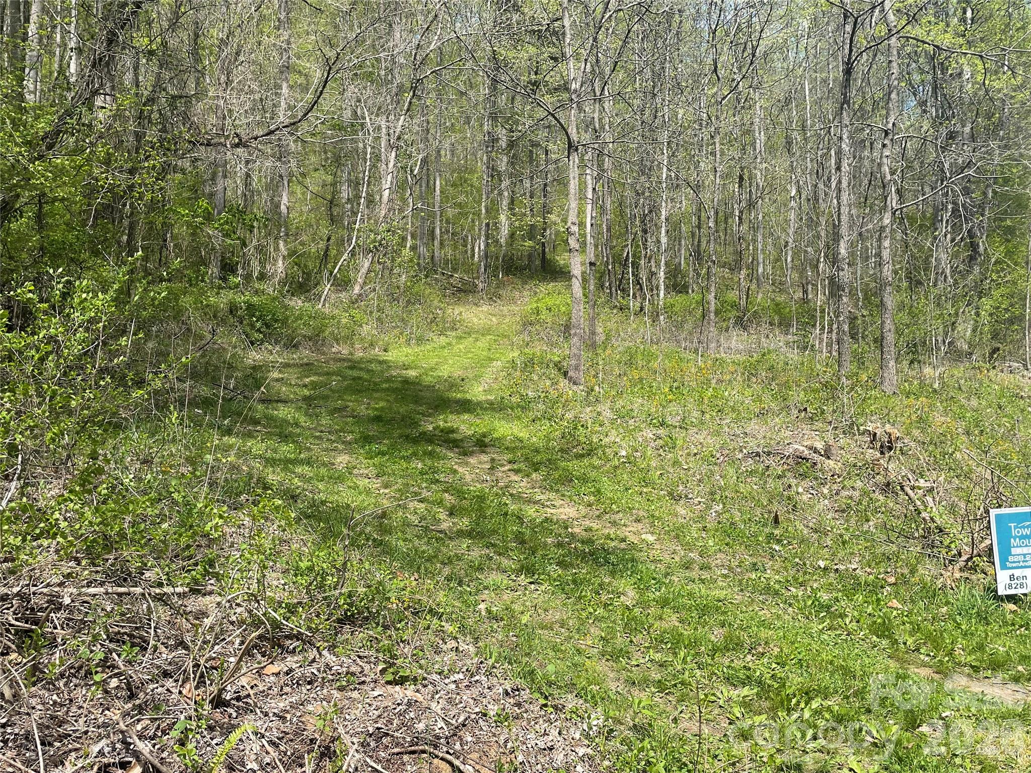 Logging road and parking area - 999999 Martins Creek Road, Barnardsville