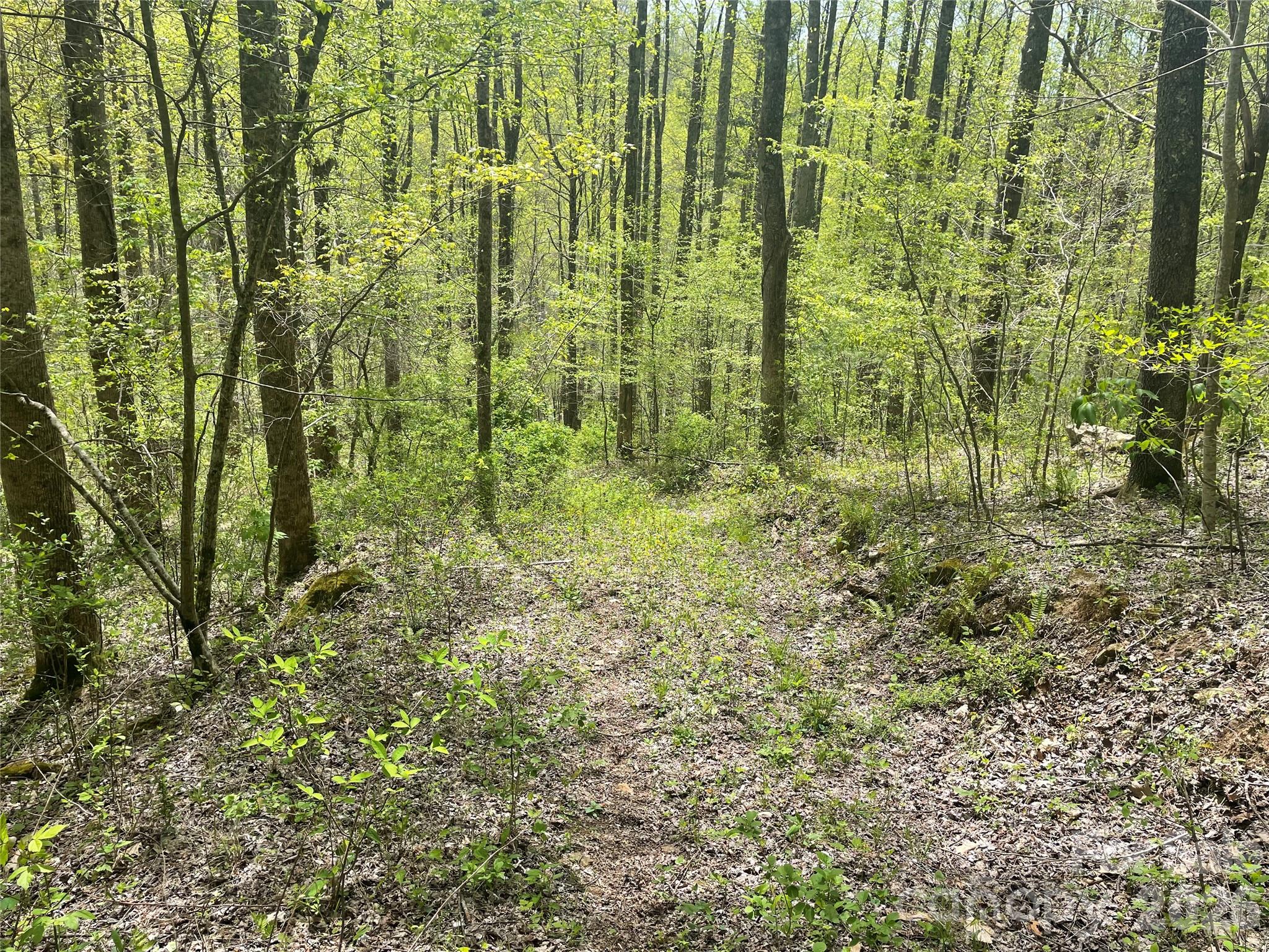 Acreage at 999999 Martins Creek Road, Barnardsville, photo 11 of 15