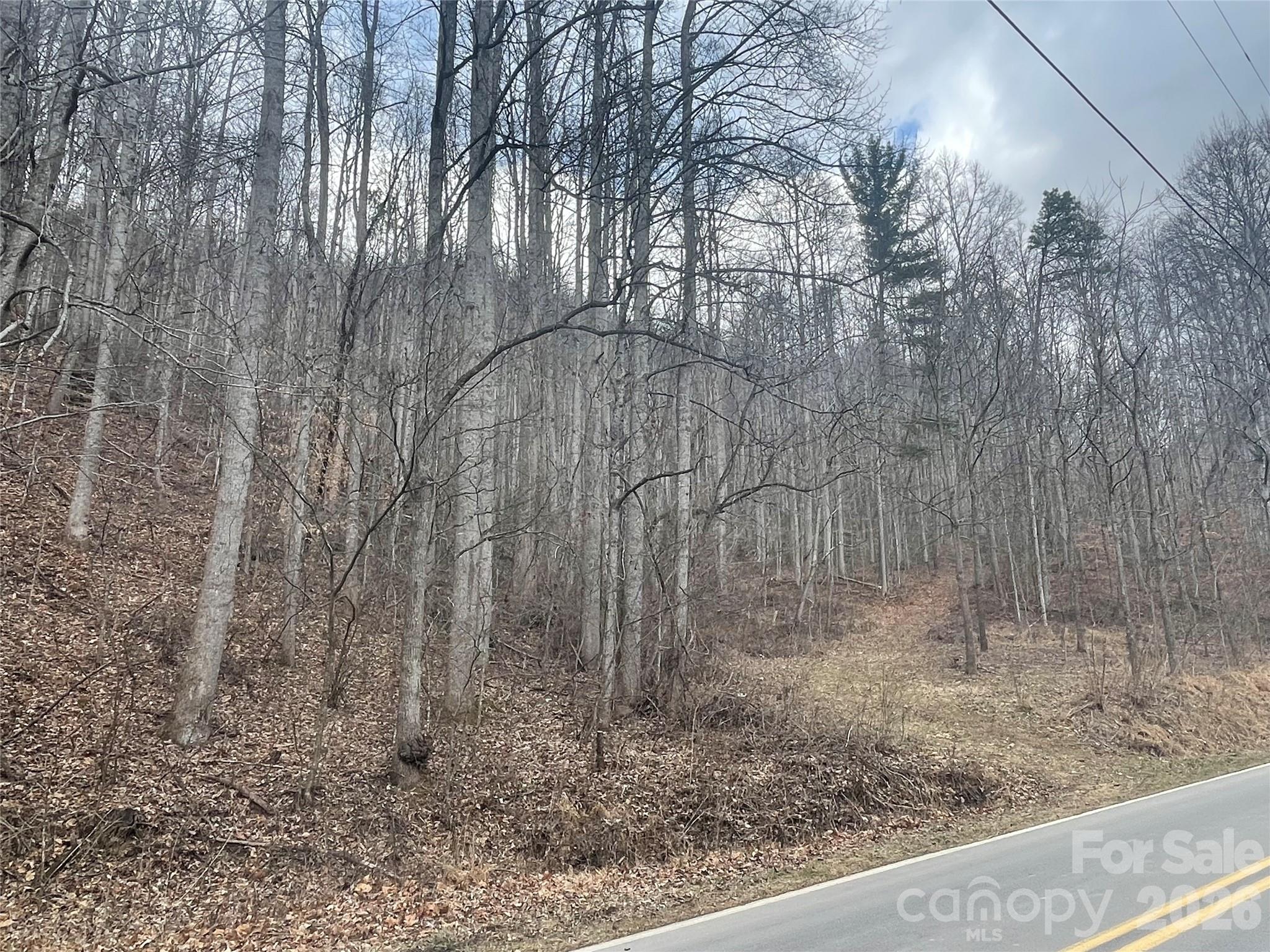 Acreage at 999999 Martins Creek Road, Barnardsville, photo 15 of 15