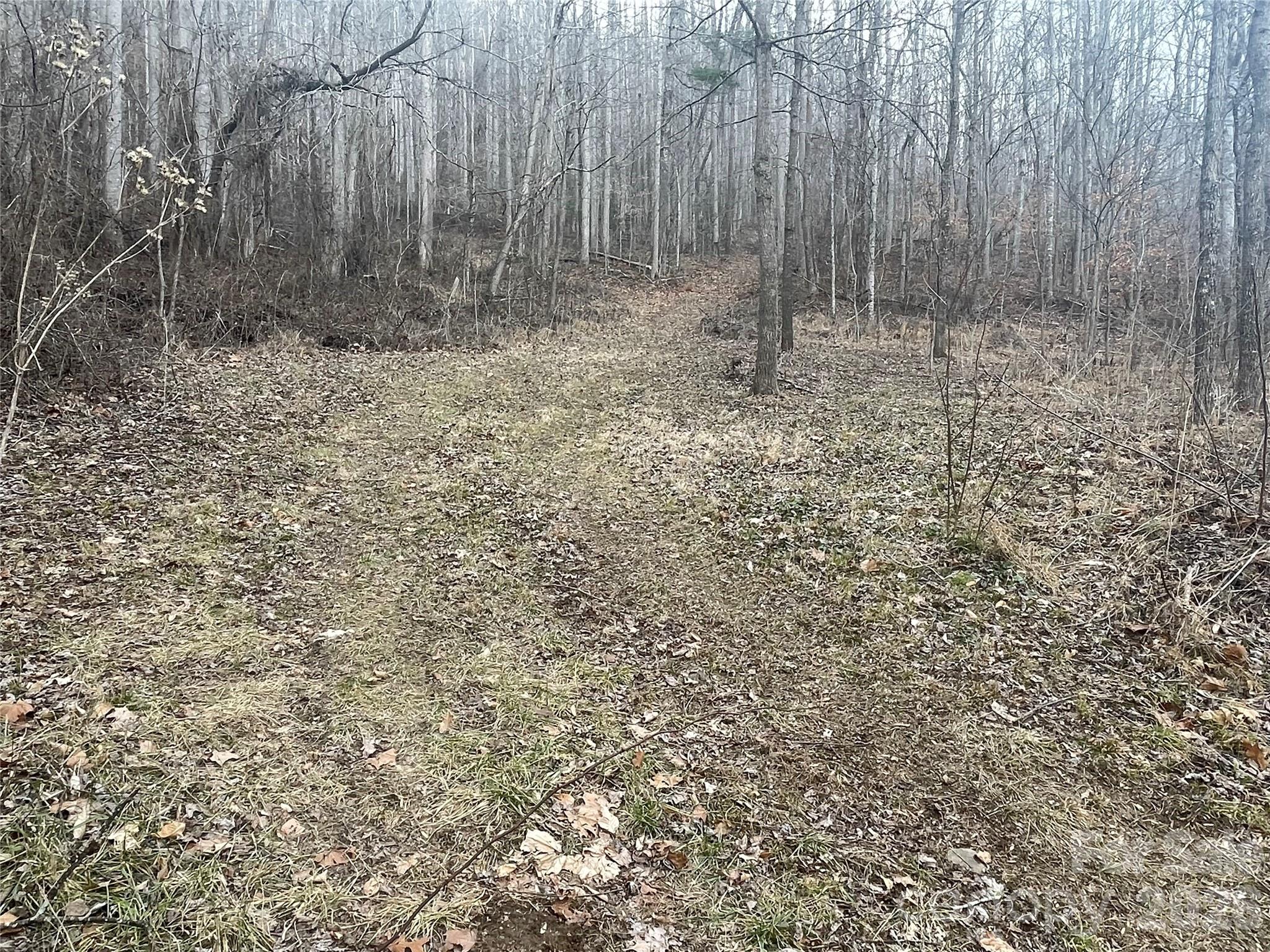 Acreage at 999999 Martins Creek Road, Barnardsville, photo 2 of 9