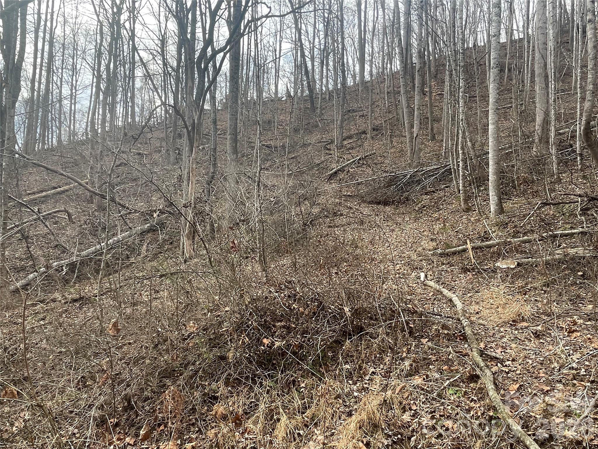 Acreage at 999999 Martins Creek Road, Barnardsville, photo 6 of 9