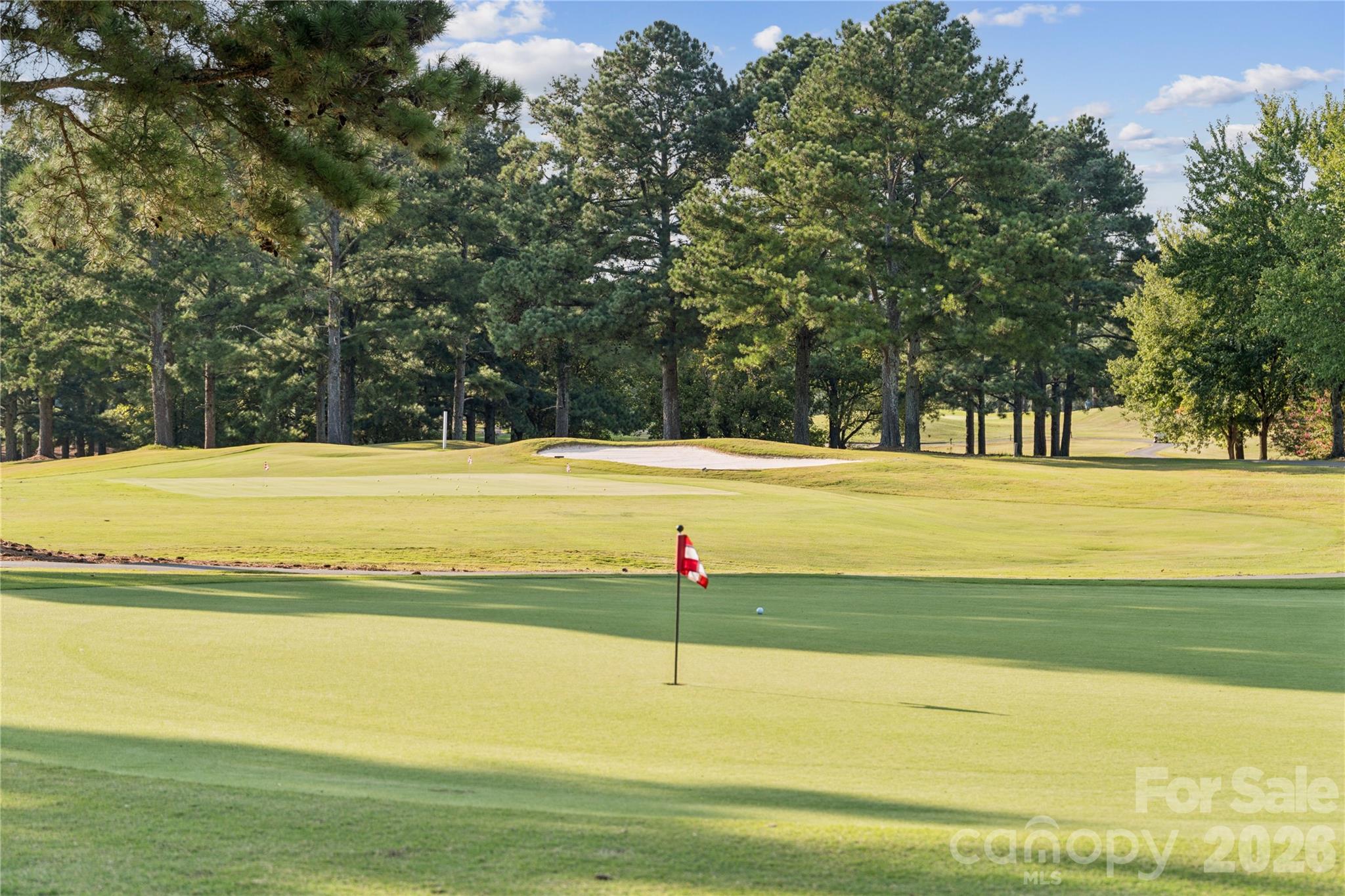 Indian Trail Area - 2012 Pine Nut Trail, Indian Trail