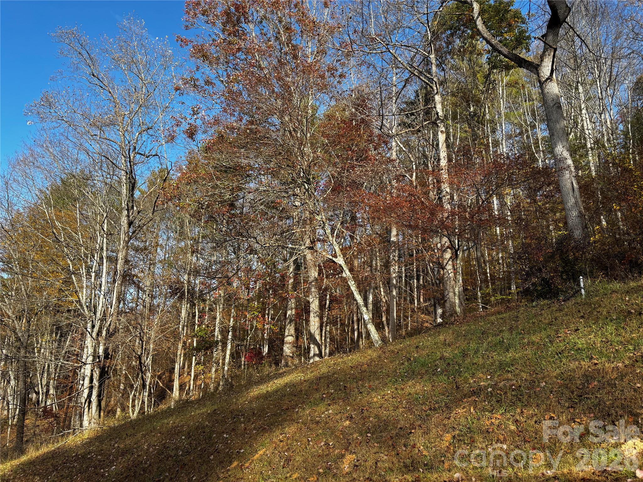 Single Family Residence at 3575 Cane Creek Road, Bakersville, photo 3 of 20