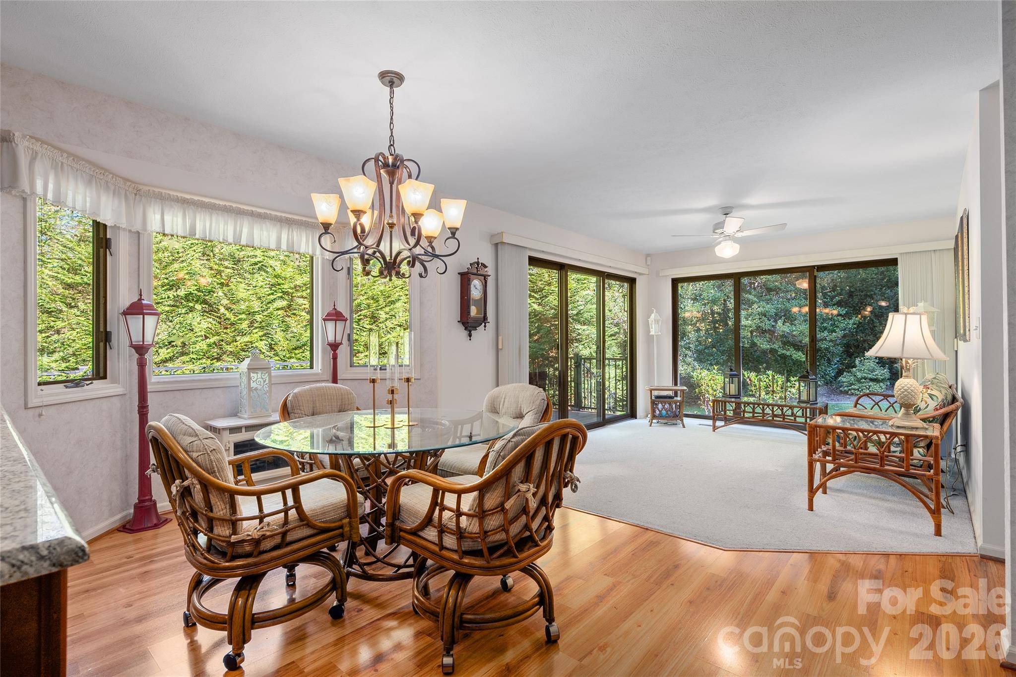 Single Family Residence at 2505 Little River Road, Hendersonville, photo 8 of 31