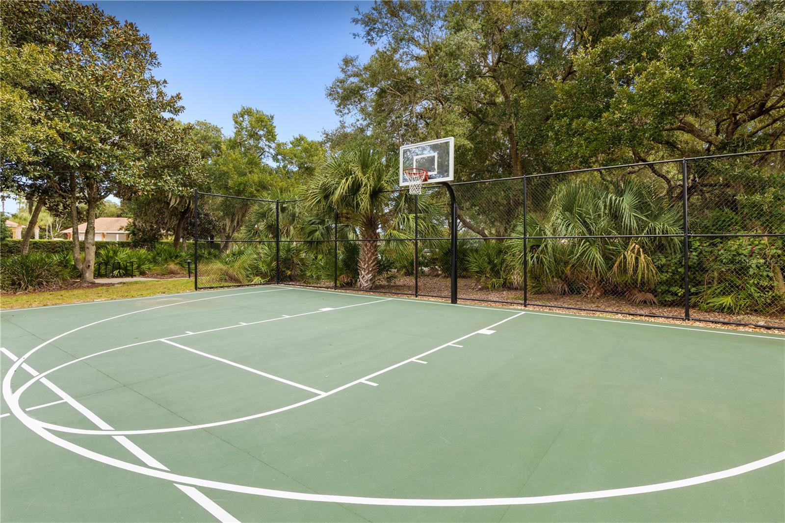 Basketball court - 202 WILLOW OAK WAY, PALM COAST