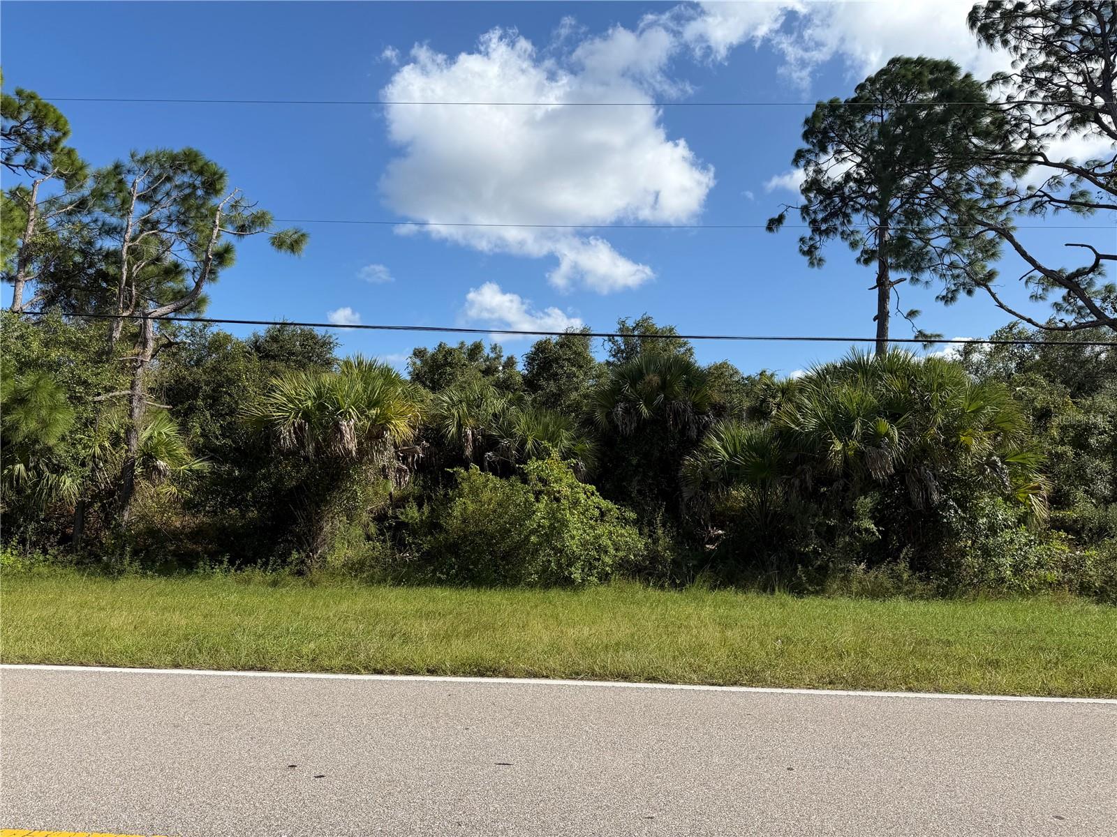 Land at 0 S HABERLAND BLVD, NORTH PORT, photo 7 of 13