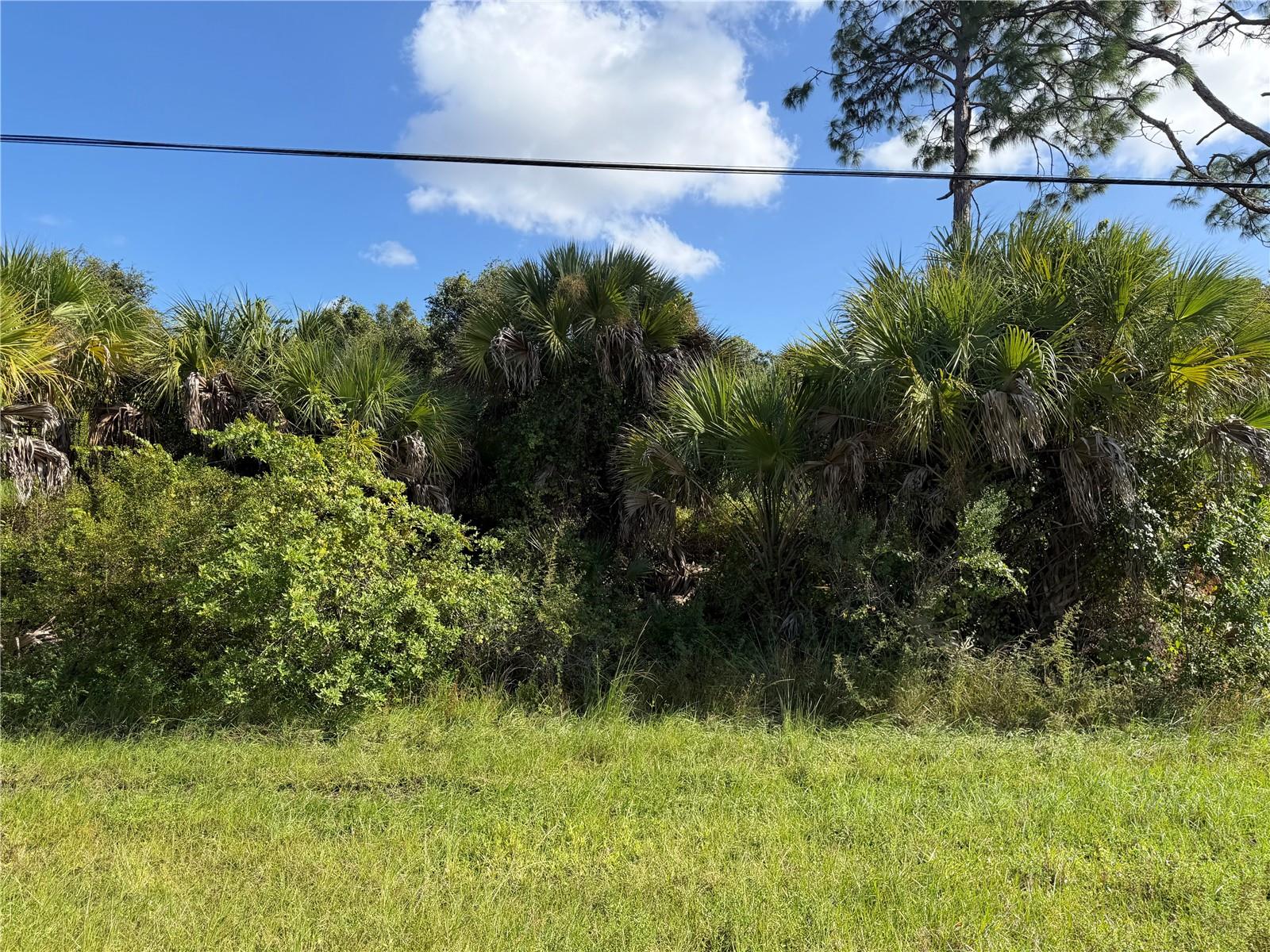 Land at 0 S HABERLAND BLVD, NORTH PORT, photo 8 of 13
