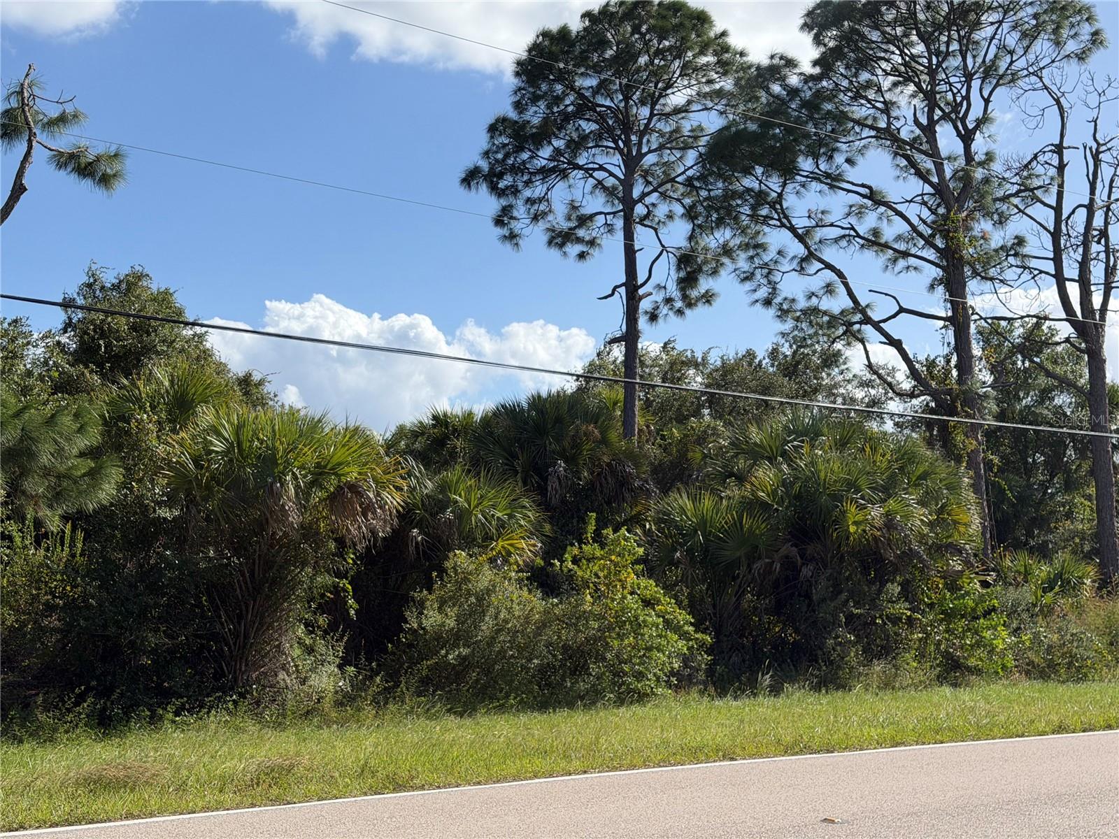 Land at 0 S HABERLAND BLVD, NORTH PORT, photo 10 of 13