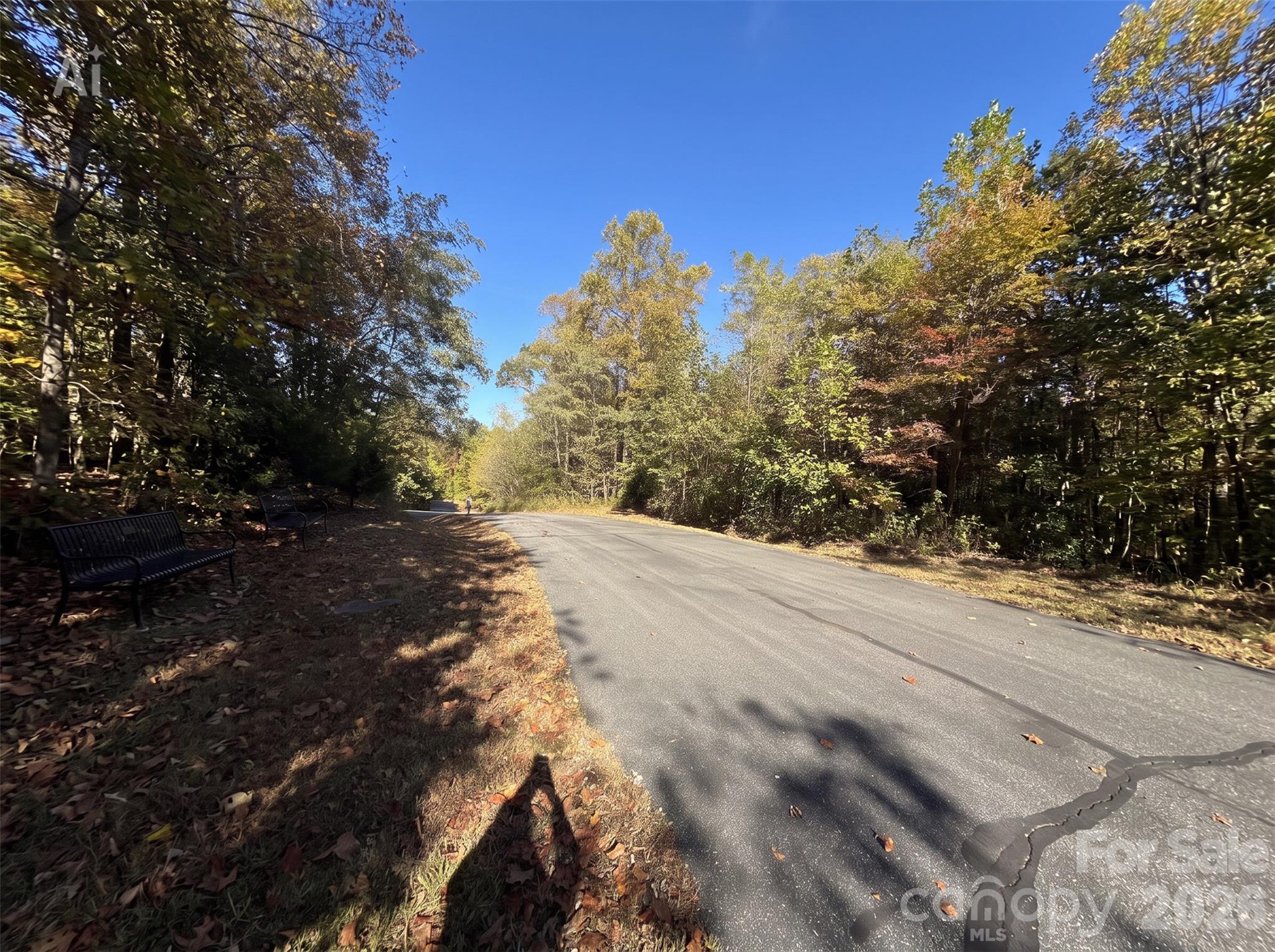 Lot at Lot 45 Peseco Drive, Bostic, photo 6 of 16