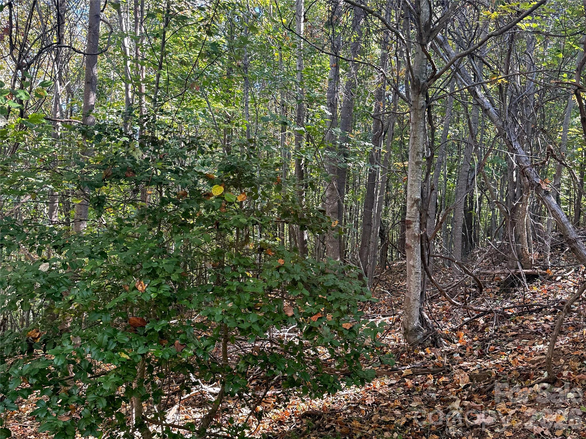 Lot at Lot 45 Peseco Drive, Bostic, photo 9 of 16