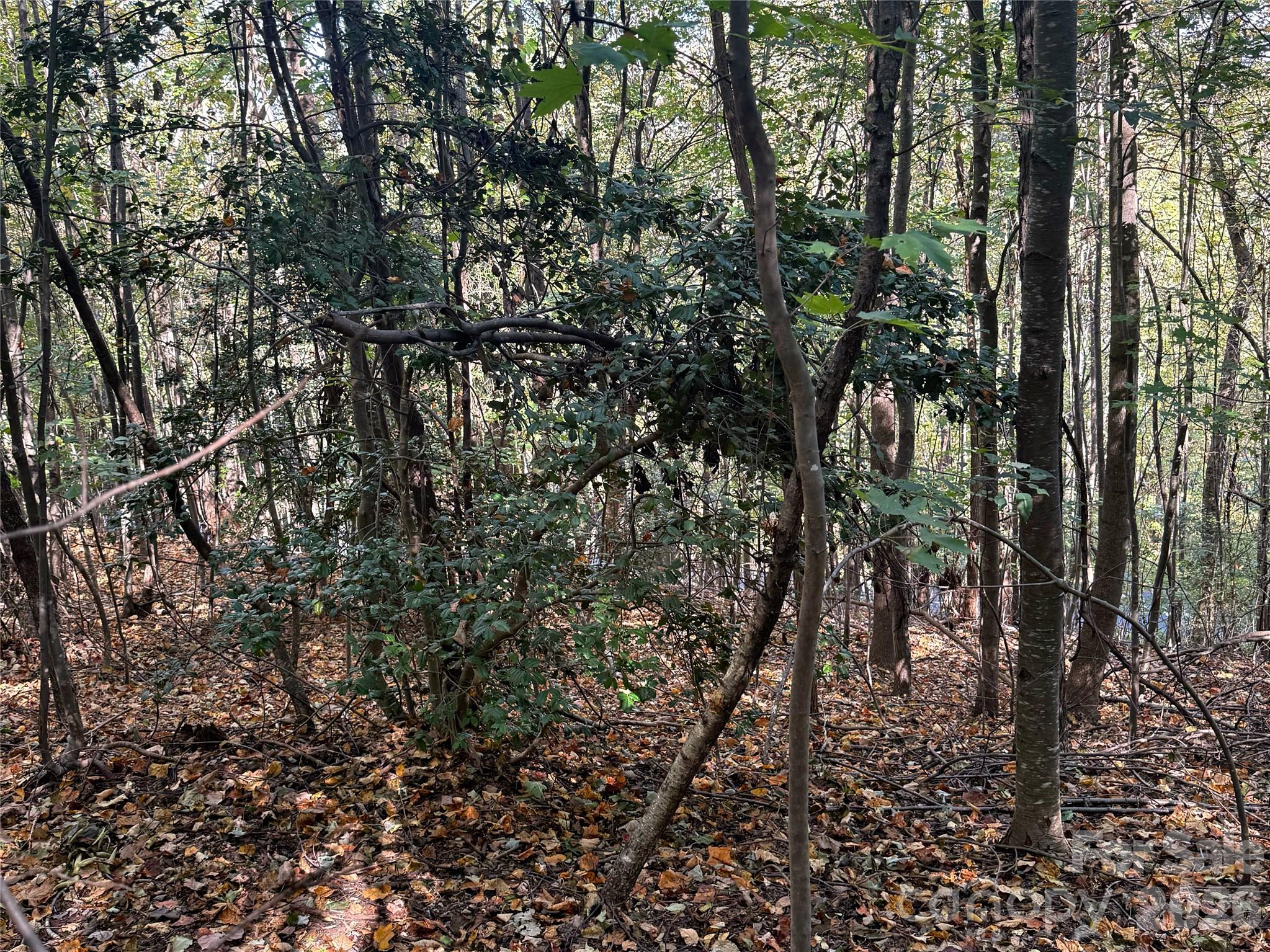 Lot at Lot 45 Peseco Drive, Bostic, photo 10 of 16