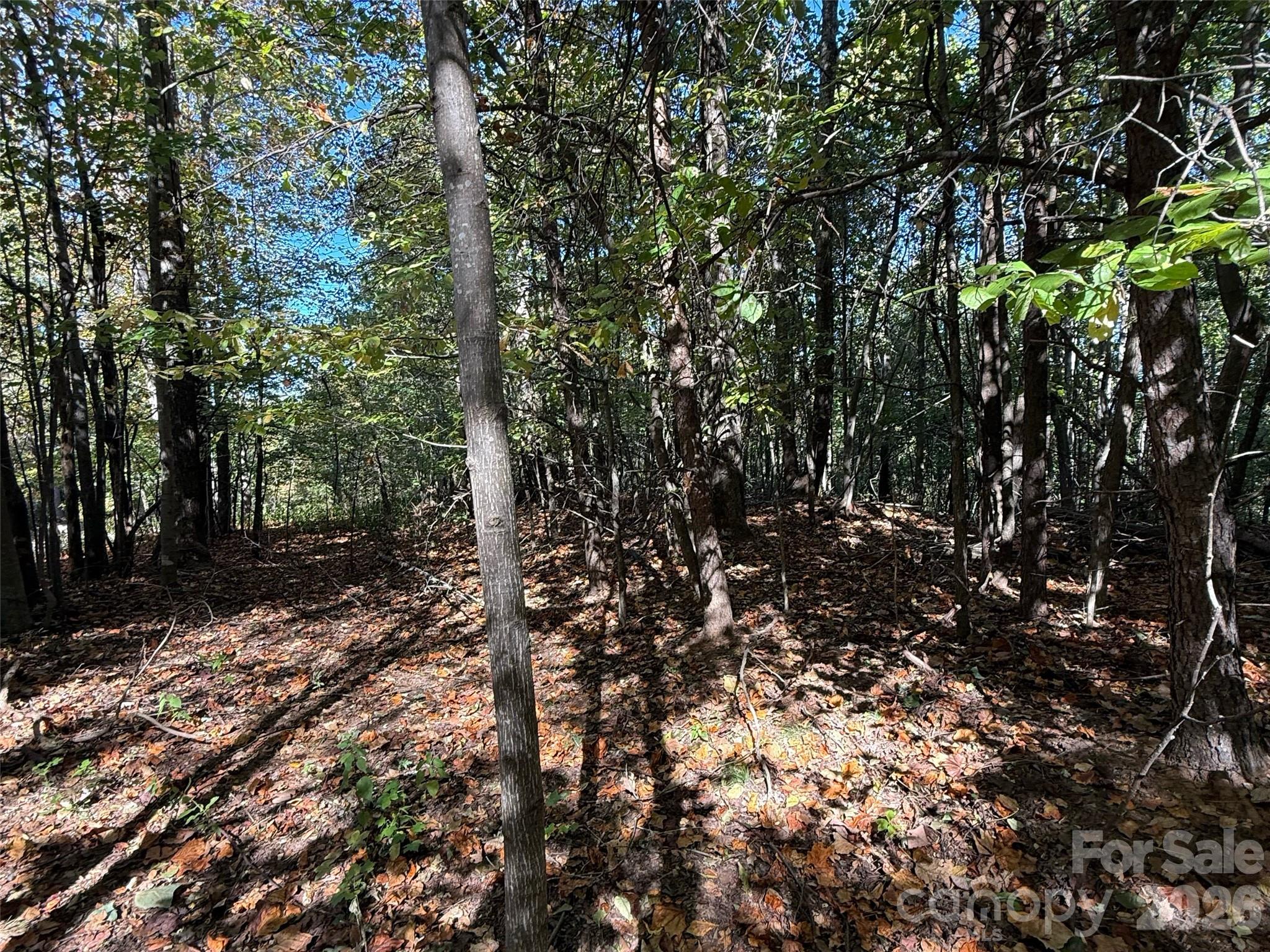 Lot at Lot 45 Peseco Drive, Bostic, photo 11 of 16