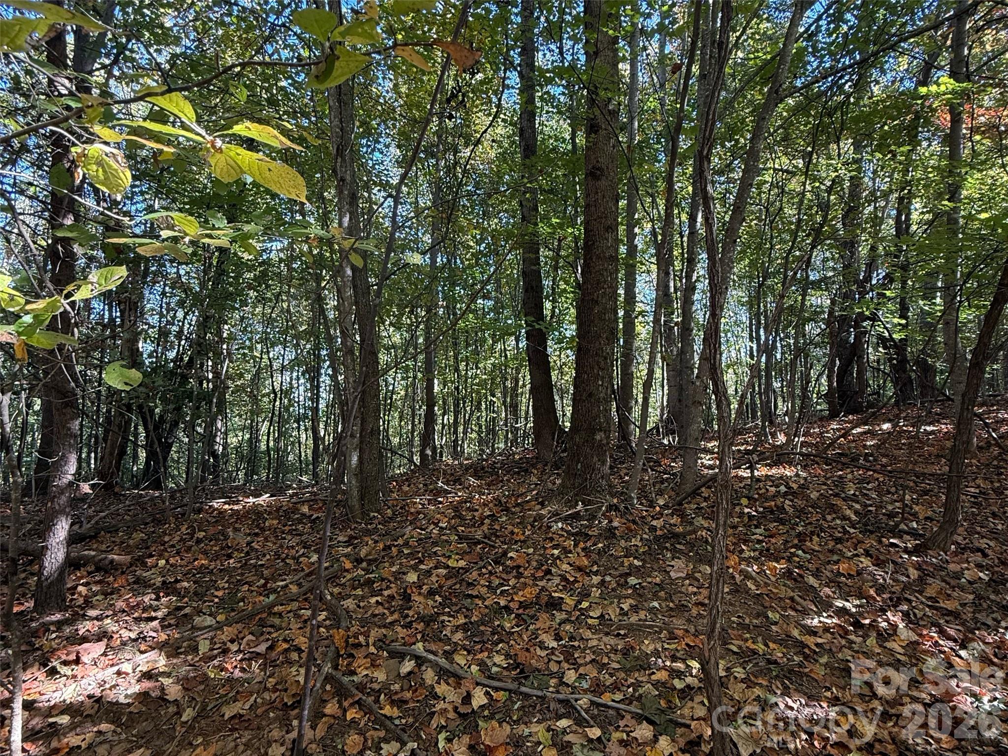 Lot at Lot 45 Peseco Drive, Bostic, photo 12 of 16