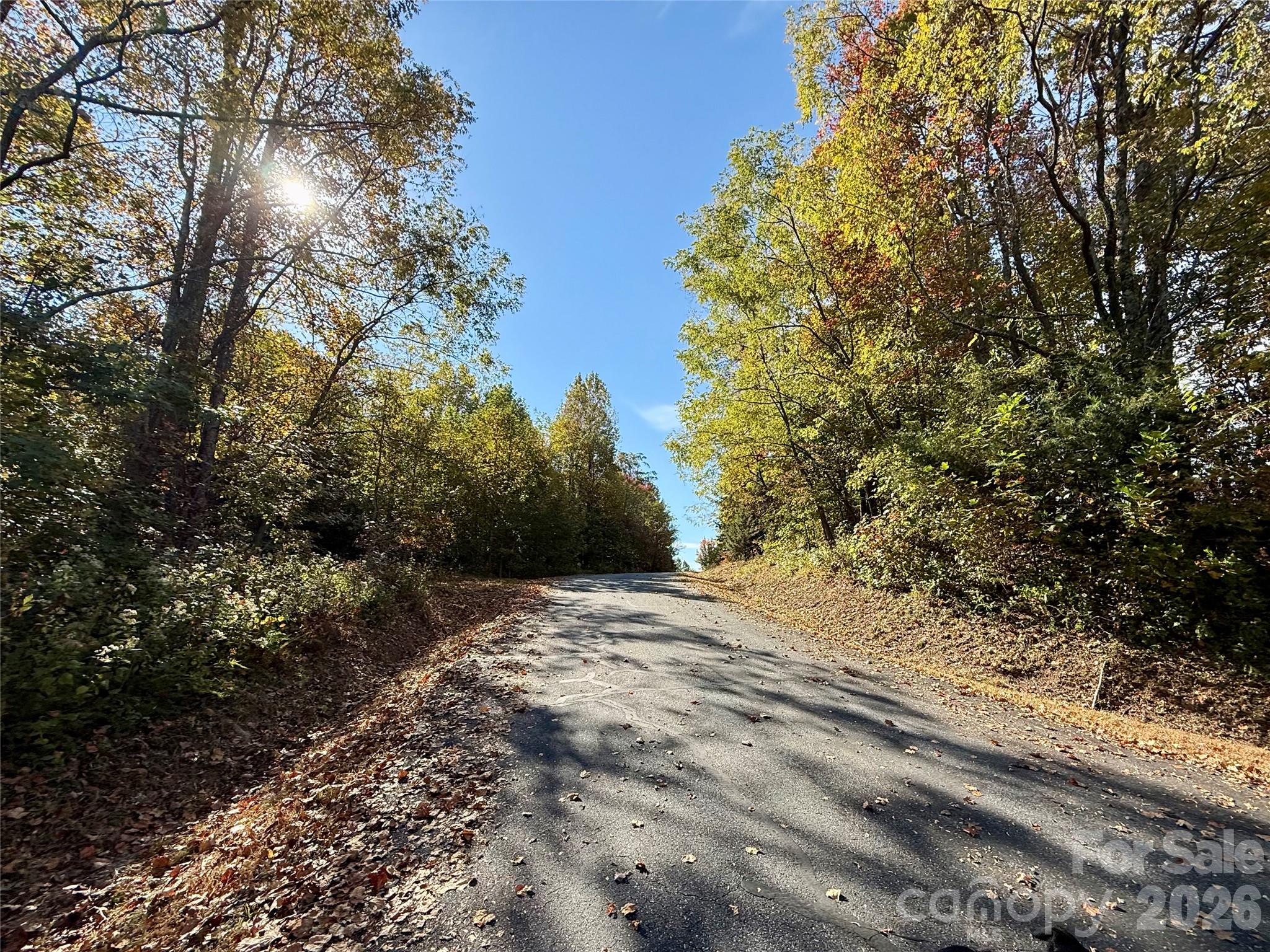 Lot at Lot 45 Peseco Drive, Bostic, photo 14 of 16