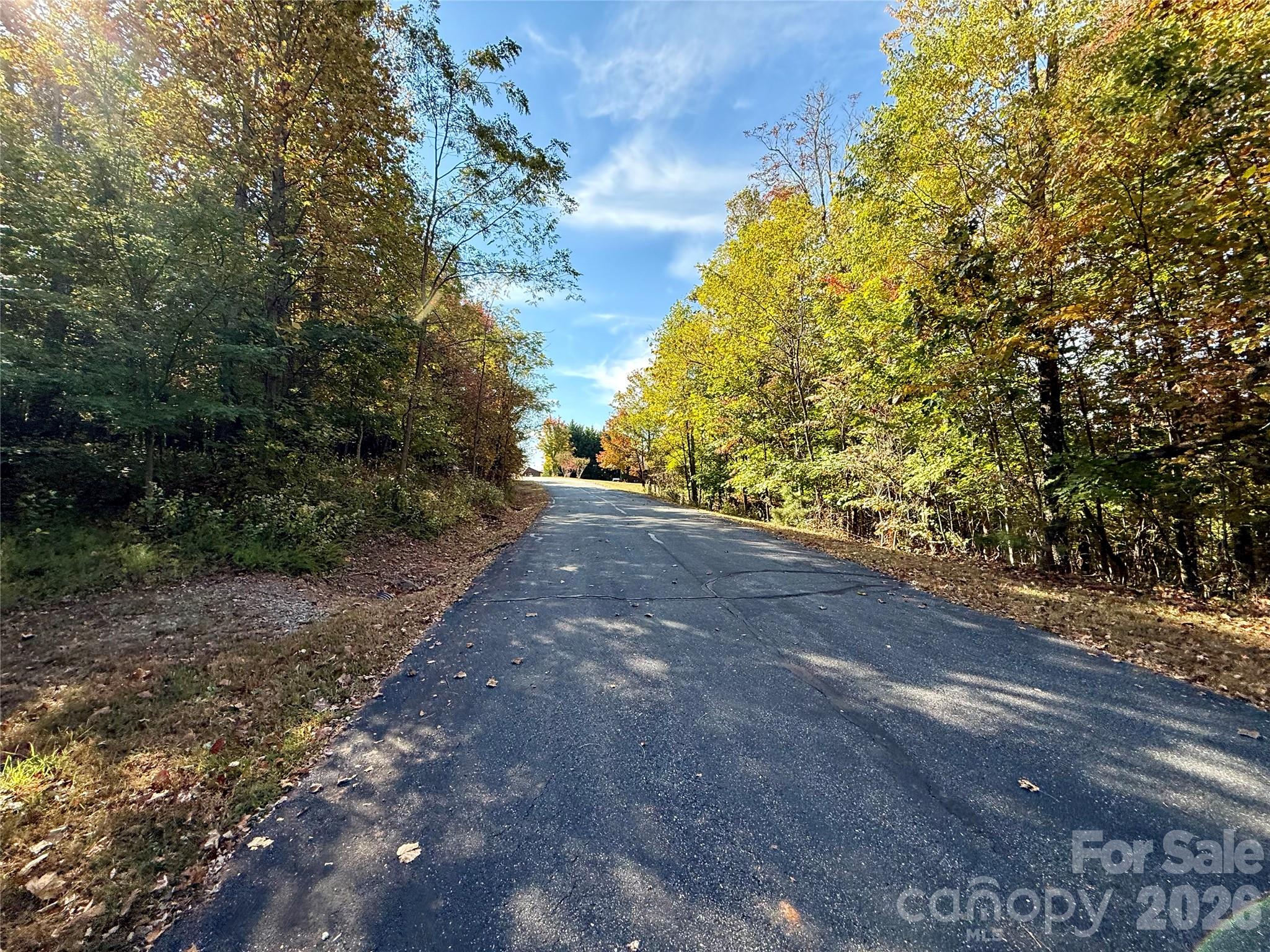Lot at Lot 45 Peseco Drive, Bostic, photo 15 of 16