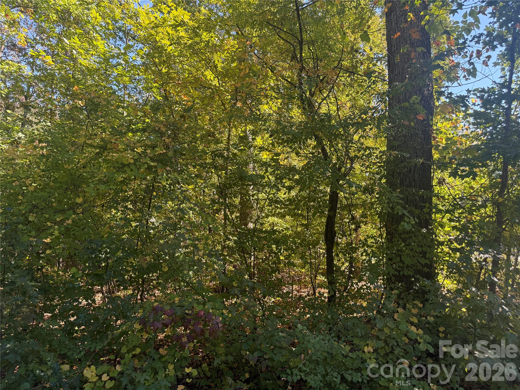 Ready to build your Dream Home on in the prestigious Grand Oaks community!... - 1087 Holland Oaks Drive, China Grove