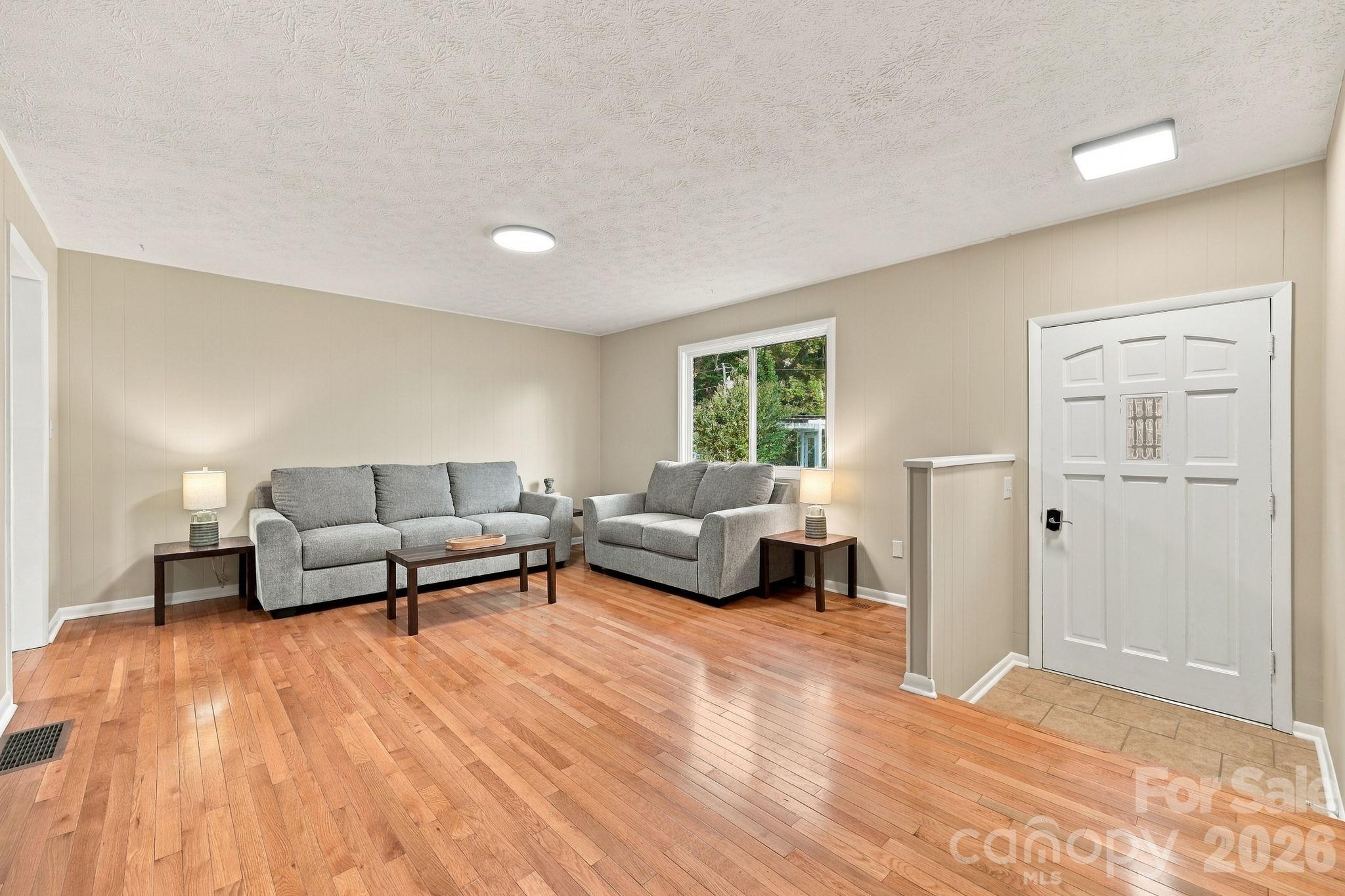 Living Room - 208 Ball Gap Road, Arden