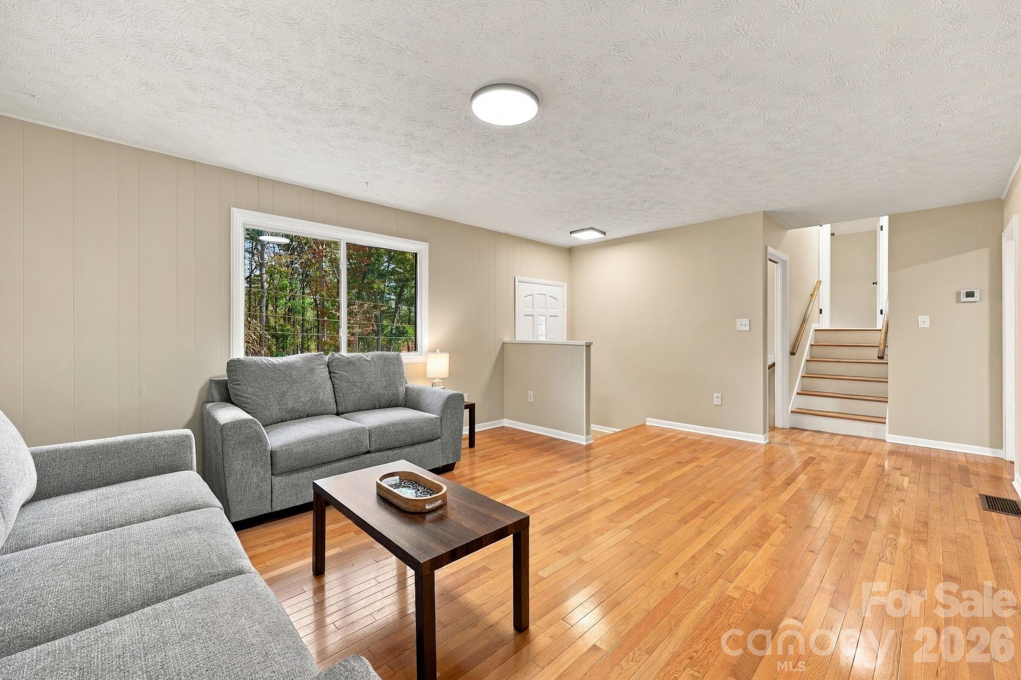 Living Room - 208 Ball Gap Road, Arden