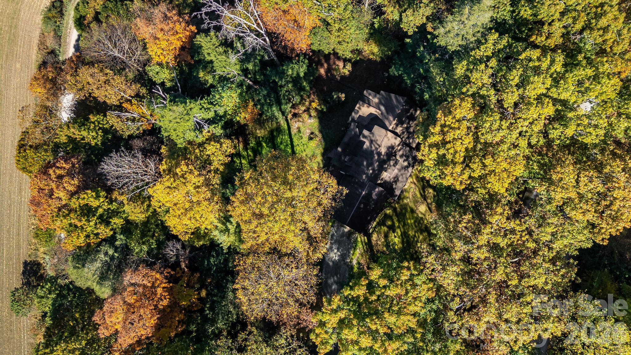 Drone View of Home in Middle of Wooded Setting - 92 Longridge Lane, Waynesville